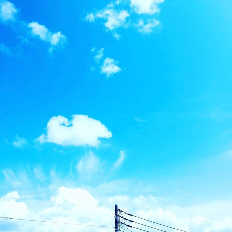 林伊織さんのインスタグラム写真 - (林伊織Instagram)「日光浴。 風がなかなか冷たい。 . #日光浴 #光合成 #家の目の前で水道管工事やってる #ガリガリガリって音がする  #なんだか長閑だ」4月28日 14時07分 - iori_haya4