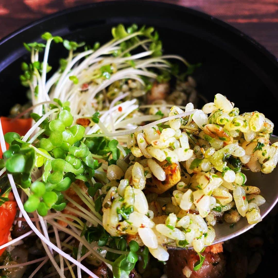 浅岡雄也のグルメインスタ