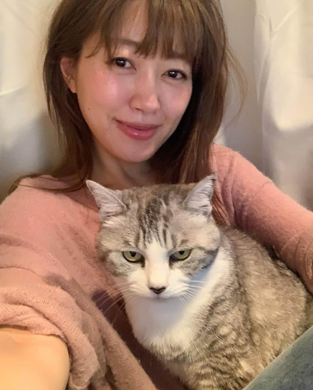 坂本美雨さんのインスタグラム写真 - (坂本美雨Instagram)「サバ美とのツーショットある？と聞かれて撮ってみたのだが、寝起きの婦人の目がすわりすぎて、ぼつった…が、つぼった。 また今度にしよう… #cat #サバ美」4月28日 16時29分 - miu_sakamoto