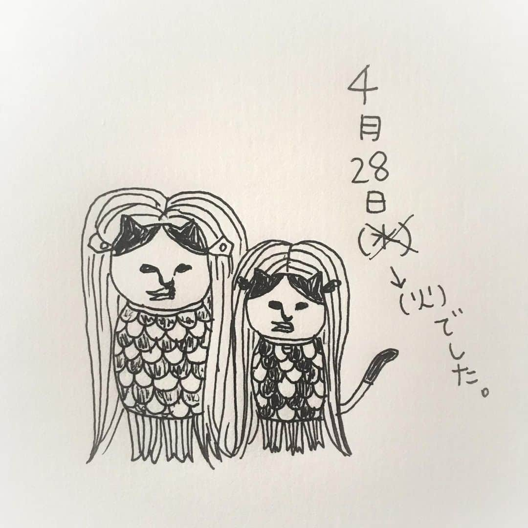 ねこのインスタグラム