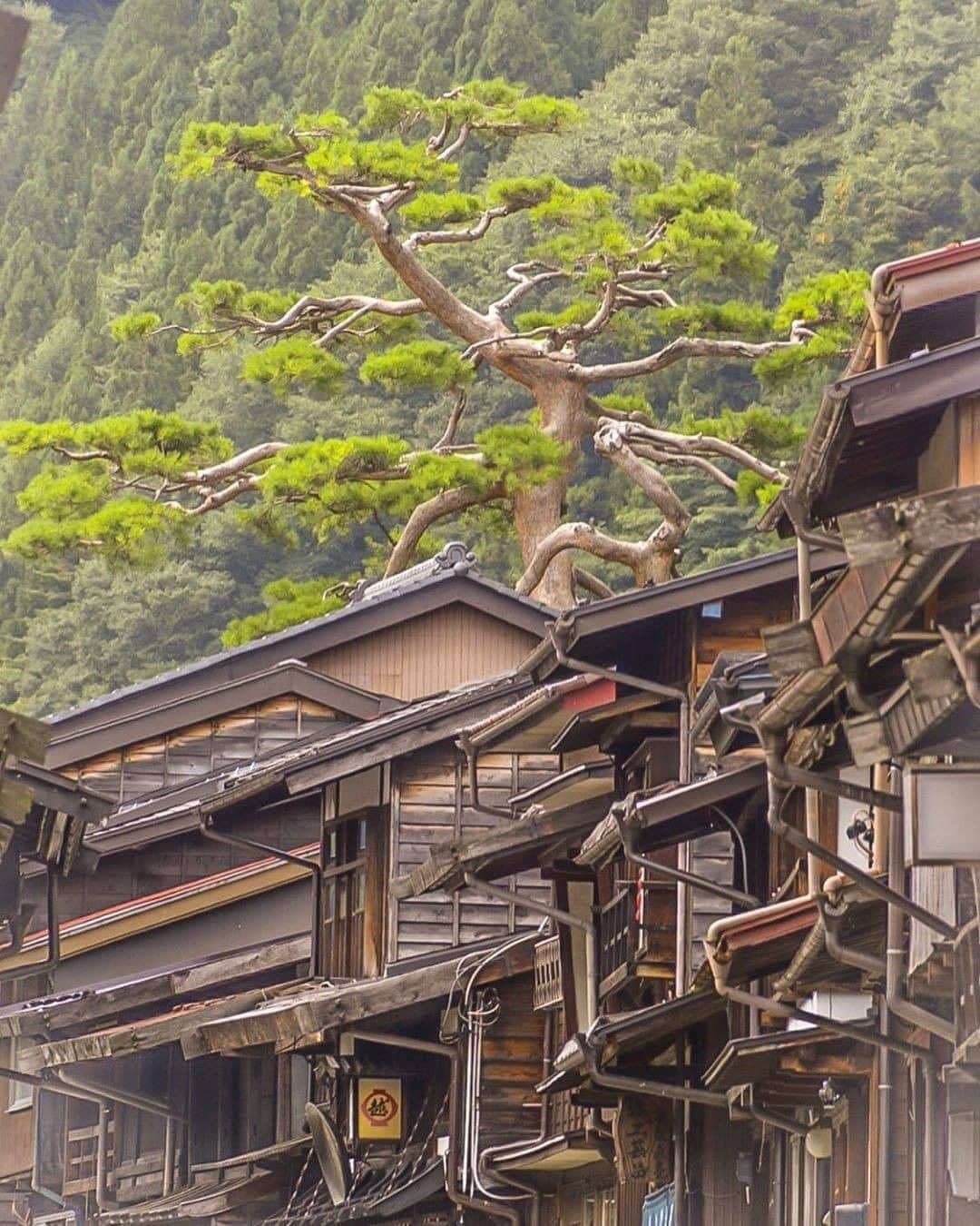 ?長野県 観光 公式インスタグラム さんのインスタグラム写真 - (?長野県 観光 公式インスタグラム Instagram)「//﻿ Photo by @tada_tomo_21﻿ ﻿ Narai-juku﻿ (Shiojiri City)﻿ ﻿ Narai-juku is one of the 11 post towns along the Kiso portion of the Nakasendo.﻿ ﻿ The pristine townscape of Narai-juku retains the atmosphere of the Edo Period. At the same time, people still reside here and call it their home.﻿ ﻿ ==========﻿ ﻿ 「奈良井宿」﻿ ＠塩尻市﻿ ﻿ 中山道木曽十一宿中のひとつ ﻿「奈良井宿」🏘﻿ ﻿ 重要伝統的建造物群保存地域に﻿ 選定された奈良井宿の﻿ 美しい街並み ﻿ かつての面影を残しながら﻿ 今も人々の暮らしが息づいています🍃﻿ ﻿ ーーーーーーーー ﻿ ﻿ Location /Shiojiri City, Nagano, Japan ﻿ ﻿ #おうちでながの﻿ #おうちで過ごそう﻿ #長野のいいところ﻿ #奈良井宿﻿ #塩尻市﻿ ﻿」4月28日 17時00分 - nagano_japan