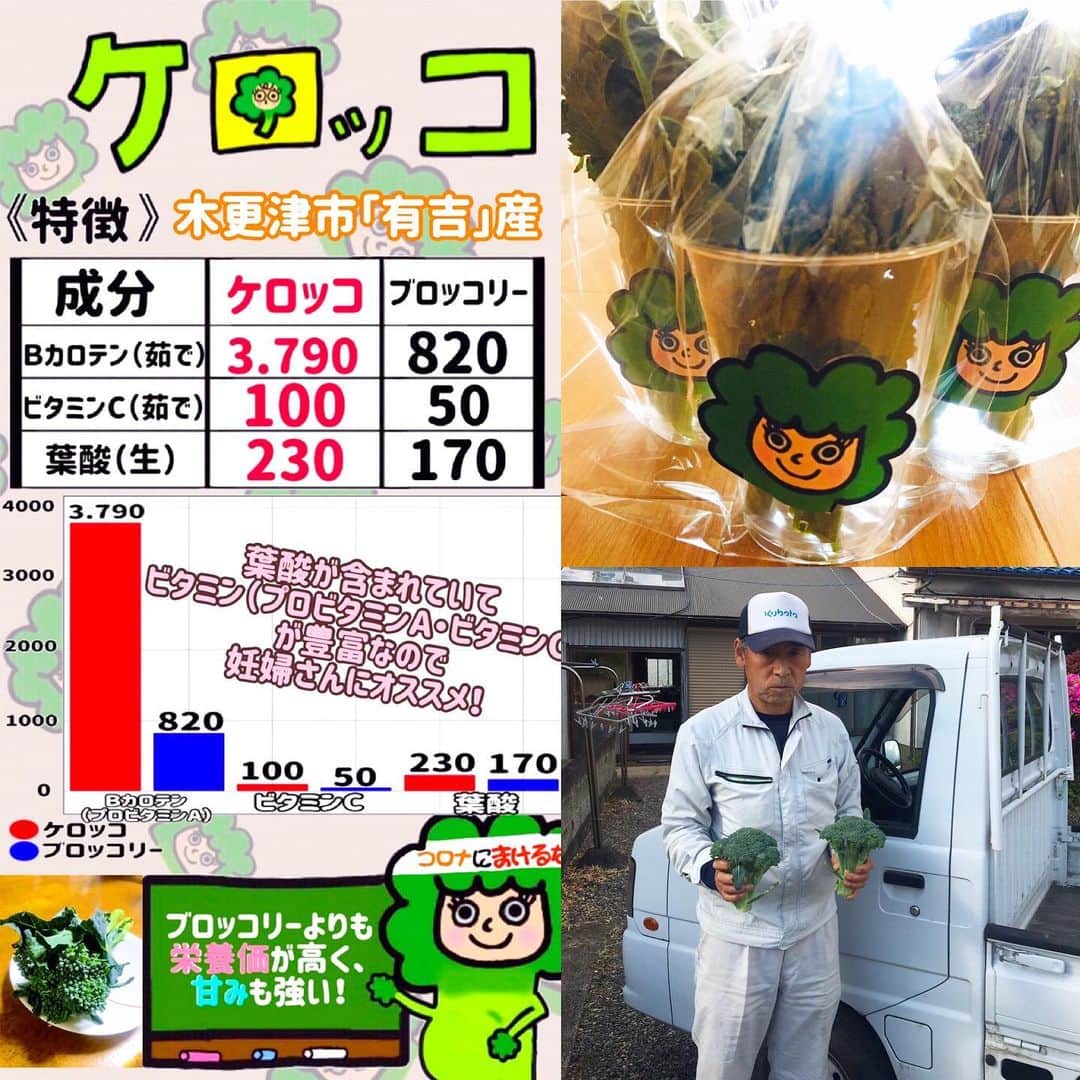渡辺俊介のインスタグラム：「石井農園の石井和男さんより チームに採れたてブロッコリー🥦の差し入れを頂きました。 ありがとうございます。 更に栄養価の高いという新種のケロッコもオススメだそうです。  #石井農園  #かずさマジック #木更津有吉産 #ブロッコリー #ケロッコ @kazutoshi_fujinami」