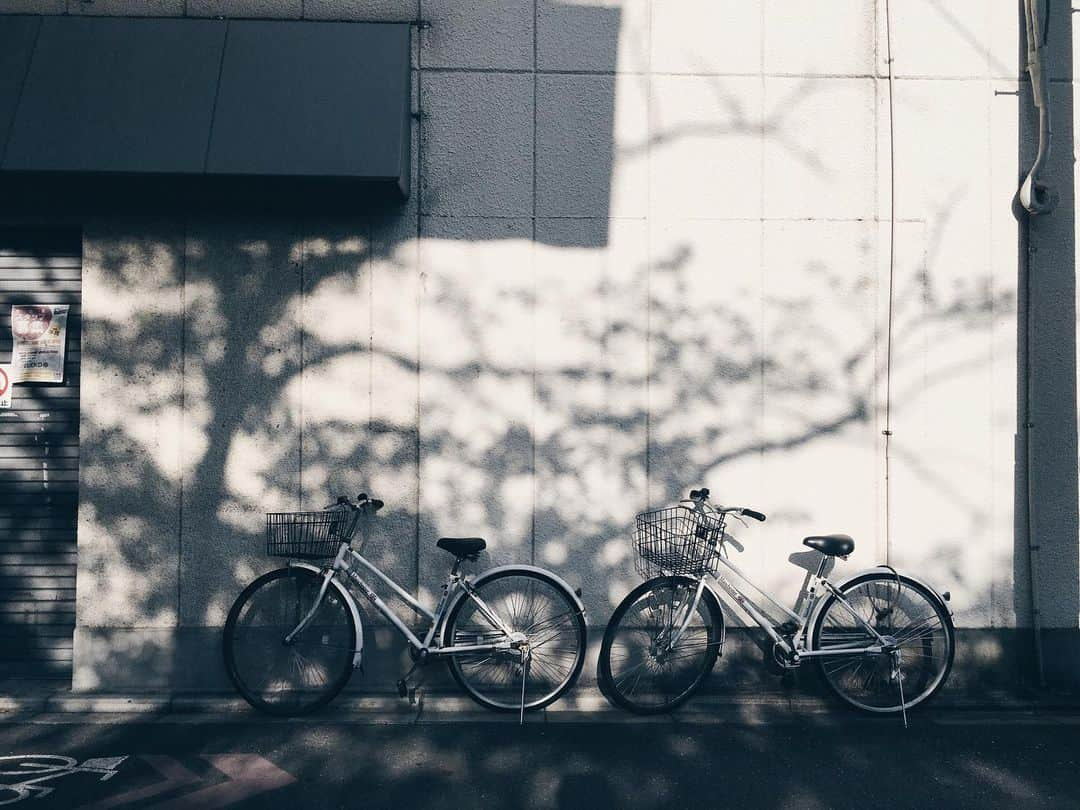 藤野可織さんのインスタグラム写真 - (藤野可織Instagram)「春の壁。」4月28日 17時47分 - fujinono