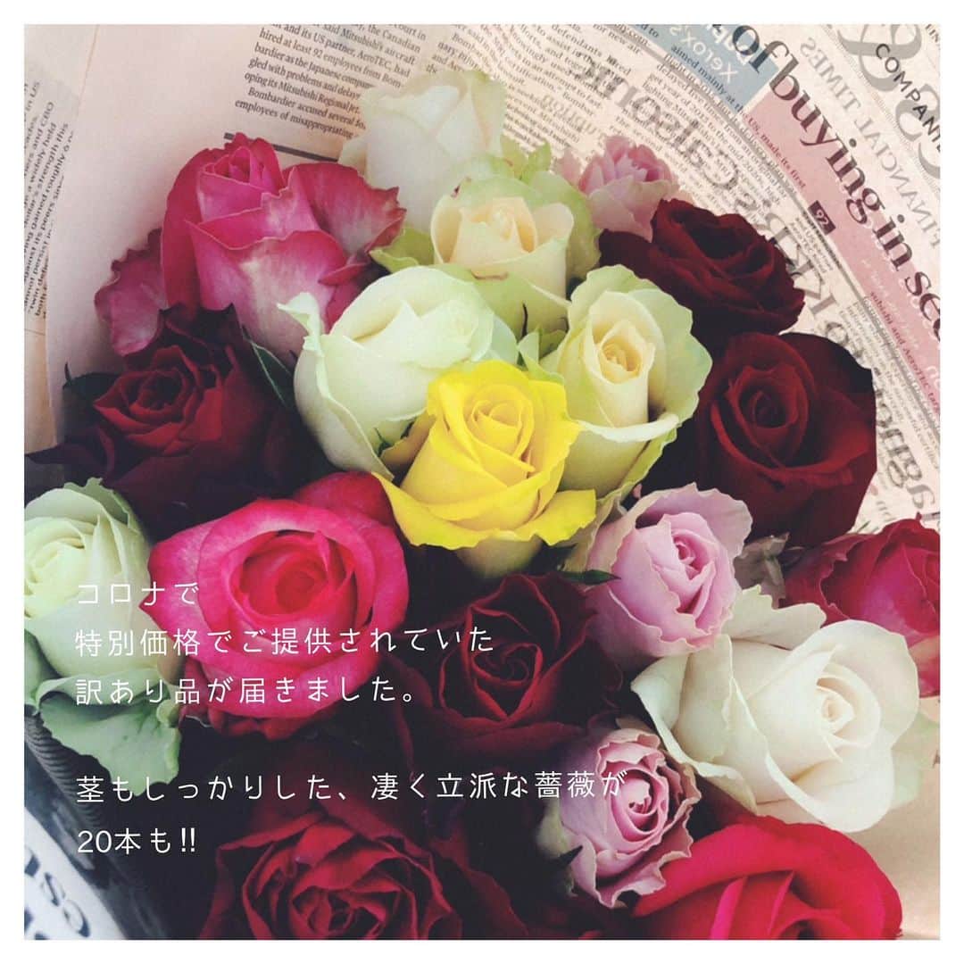 笹峯愛さんのインスタグラム写真 - (笹峯愛Instagram)「お花屋さんも、お休み中ですが ネットで、お家に届けていただける事はできますね。  配送業者さん、ありがとう。 行き場を失っていた薔薇さん達が届きました。  お安く直送くださった農園さん、ありがとう。  我が家に来てくれた薔薇さん達、ありがとう。  お陰で、お家時間が華やかです。  #薔薇 #花のある暮らし #takayamarose #浜松」4月28日 17時59分 - mineco.m