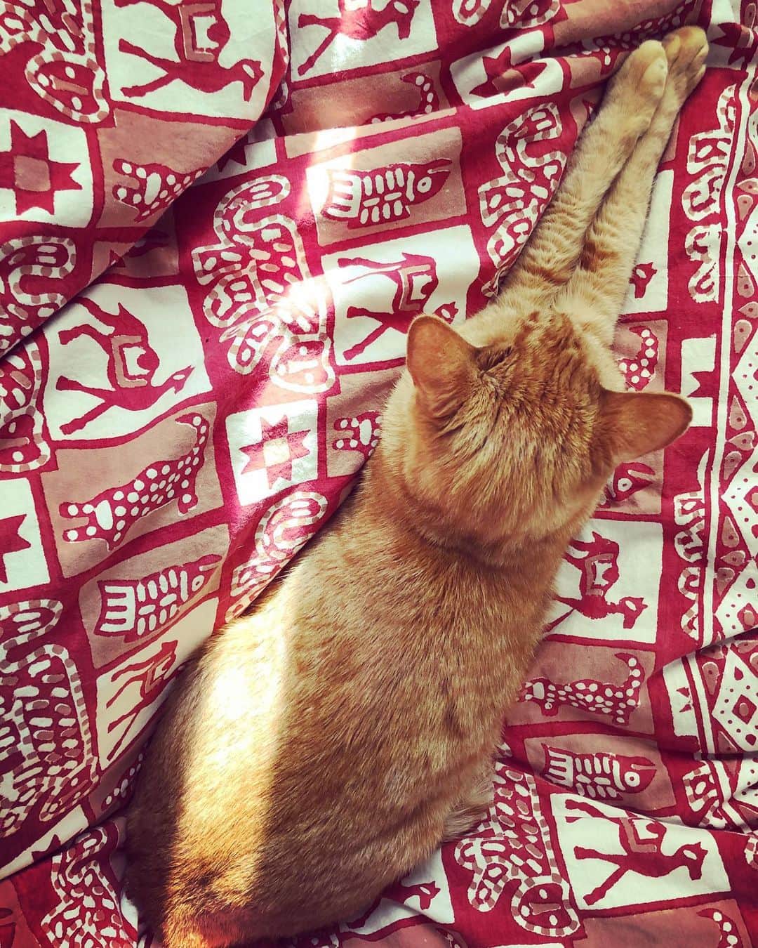 井上侑のインスタグラム