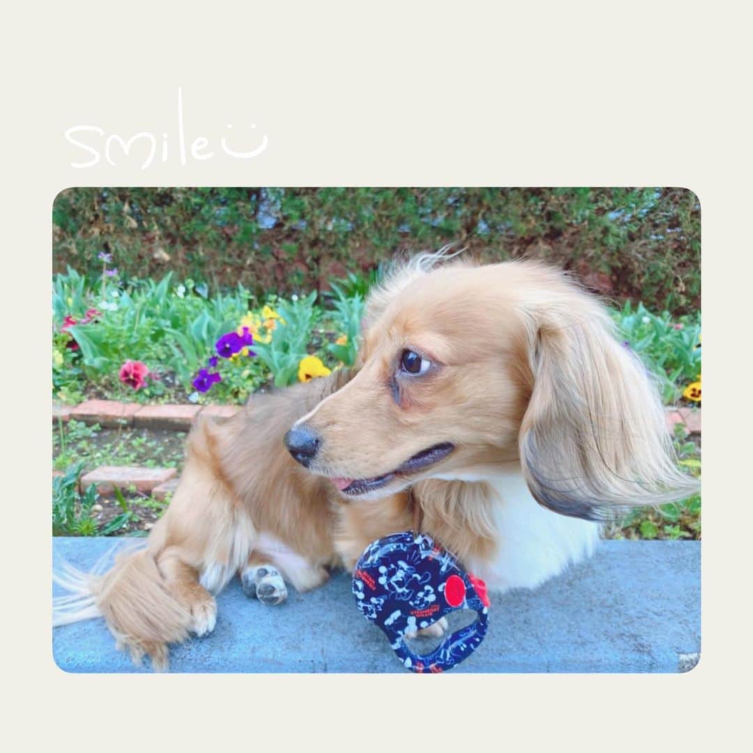井坂仁美のインスタグラム