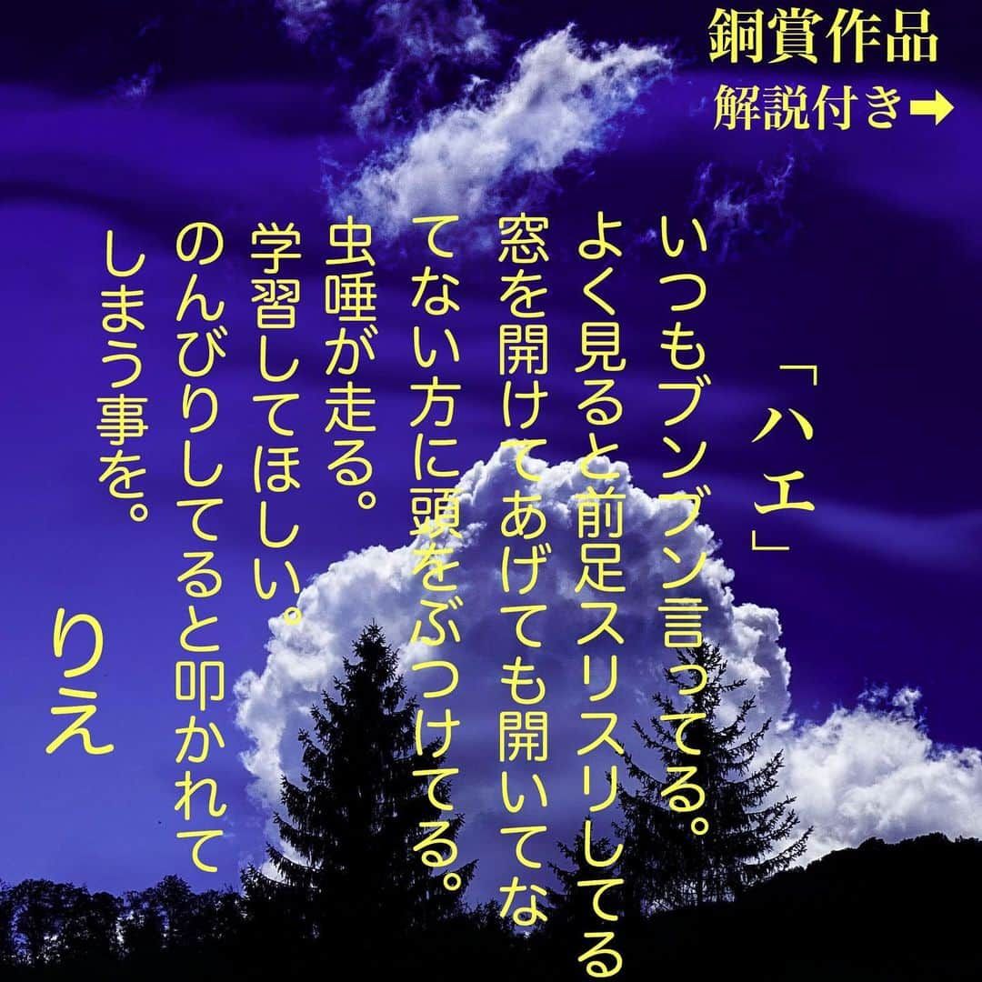 久保田和靖さんのインスタグラム写真 - (久保田和靖Instagram)「応募総数318🙇銅賞おめでとう🎈  熾烈な戦いでした。もう、皆様の感性に兜を脱ぐ思いであります。昨夜は日本で1番コメント欄が面白いタレントだったのではないかと思うしだいです。ただフォロワー様がここまで生活を斜めにして人を見てる事が、私とドッペルゲンガーの様な感じで近しく思います。 まずは銅賞から発表します！  @tsumeawase_325 おめでとうございます 審査員4人中3人が票を入れました^_^  #解説付きで久保田先生による1分小言ダメだしもついてます。 #大賞候補に選ばれてる方には私から #いいねをおしてます #コメントをご確認ください #明日は銀賞🥈」4月28日 18時43分 - kubotakazunobu