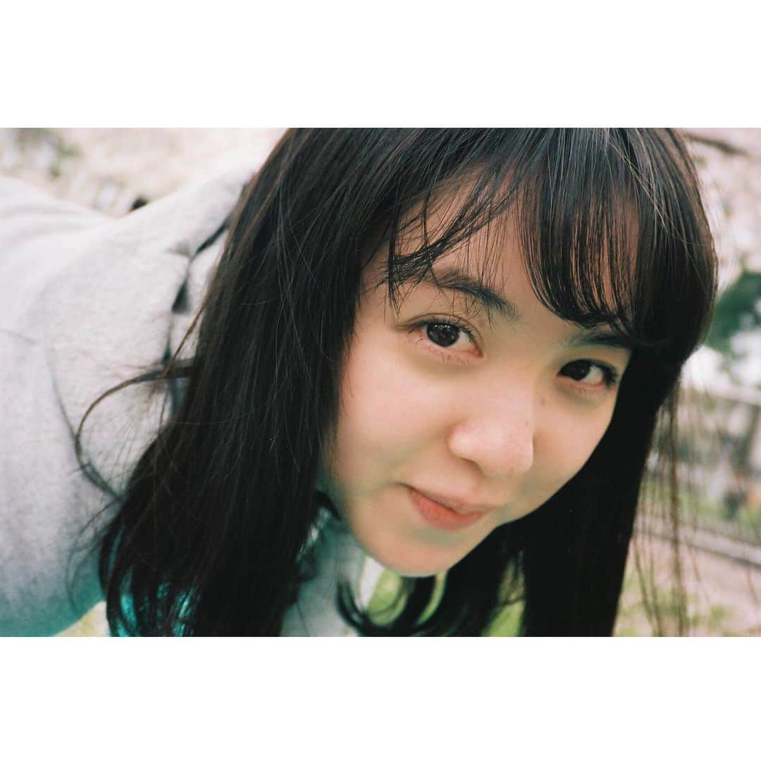 藤井武美のインスタグラム：「filmの整理をしていました。 今年の桜を見たかったなぁと、ふと。 今年しか、今しか出来ないことが 沢山ある中で 色んな気持ちを どうかプラスに考えて 来年は綺麗な桜を、満開な桜を見たいです がんばりましょ。 🌸」