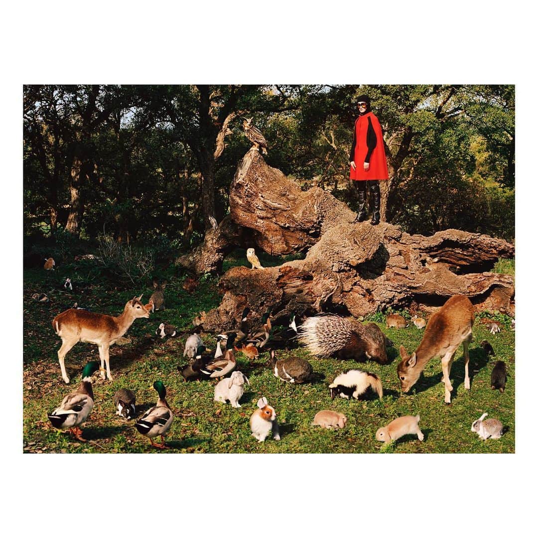 のインスタグラム：「#SoDeerToMe. An ode to innocence, when as children we revelled in nature and life is the idea behind the new #GucciPreFall20 campaign shot by @alasdairmclellan with creative direction by @alessandro_michele and art direction by @christophersimmonds. Discover more through link in bio. #AlessandroMichele In February this year, Gucci partnered with The @lionssharefund, which raises funds to protect endangered species and their natural habitats. The House donates 0.5% of its media spend to The #LionsShare Fund every time an animal is featured in its advertisements.」