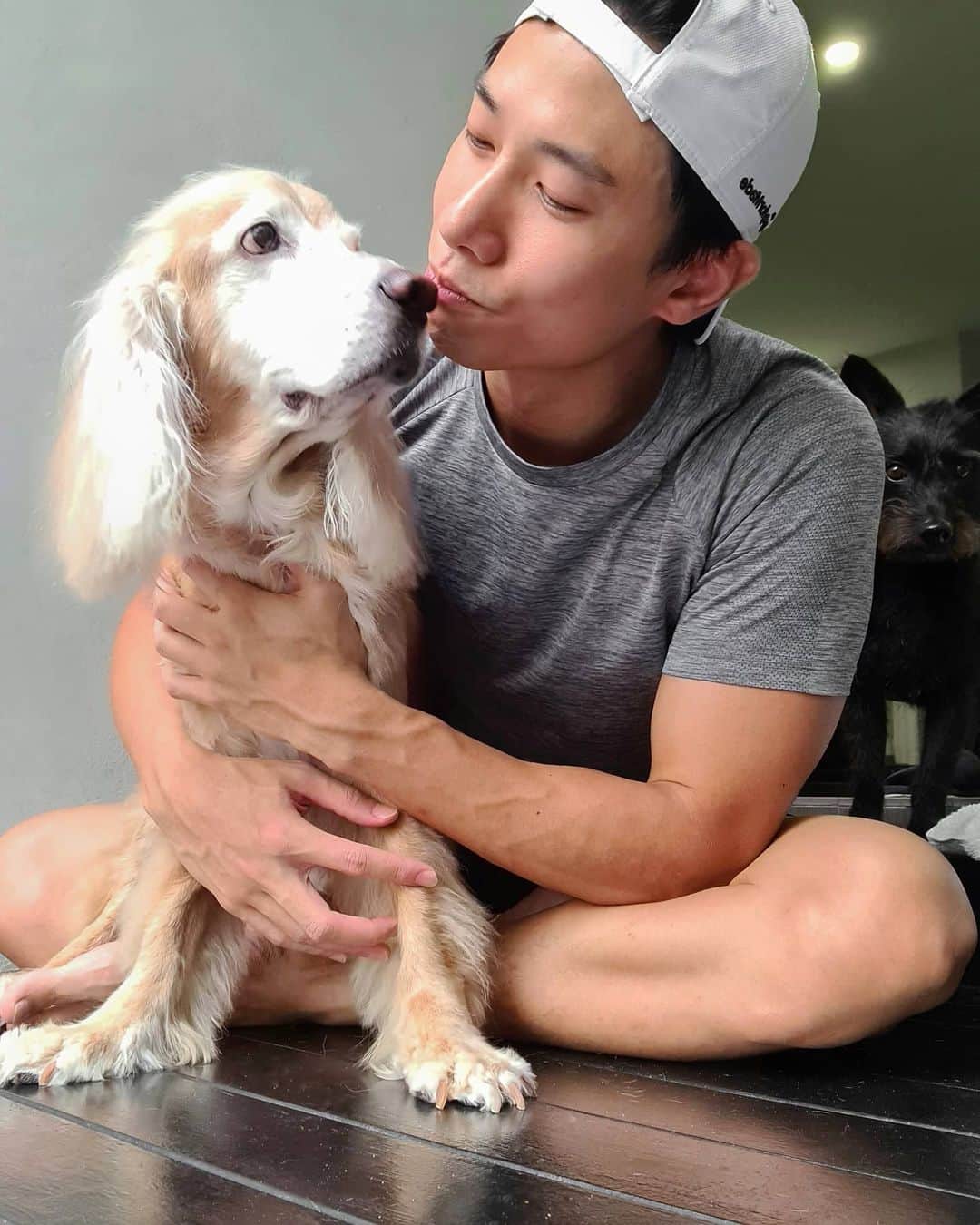 デスモンド・タンのインスタグラム：「Pom-pom bonding time with Hoshi today. Try spotting Udon in the photo! 照片中找亮点! 看懂乌东的表情吗? 😂  Shot some not-so-perfect shampoo advert videos for him after my world-class styling works. Hahaha! Which one do you like better?  #hoshitan #陈河狮 #陈乌东 #友情客串」