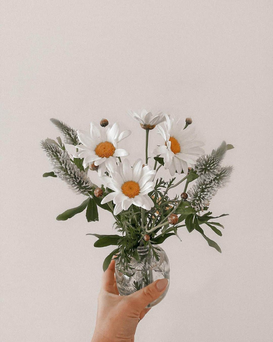 Manamiのインスタグラム：「Marguerite🤍 君かわいいね🥰 ㅤ #stayhome」
