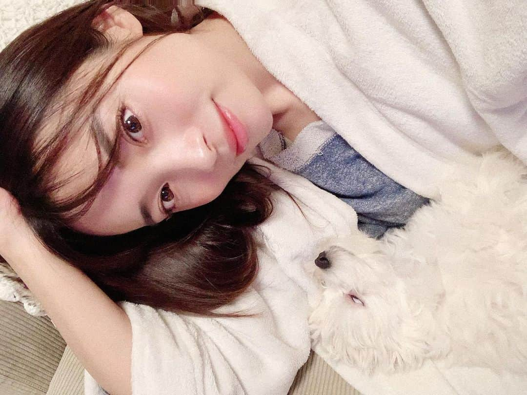 本多末奈さんのインスタグラム写真 - (本多末奈Instagram)「ましゅ、最近白目率が多い🐶💤 おうち時間が増えて、いつも一緒🙌💕 #stayhome #doglover #doglife #instadog #matthew #おうち時間 #犬のいる暮らし #犬のいる生活 #今日のマシュー #白目犬」4月28日 21時45分 - honda_mana