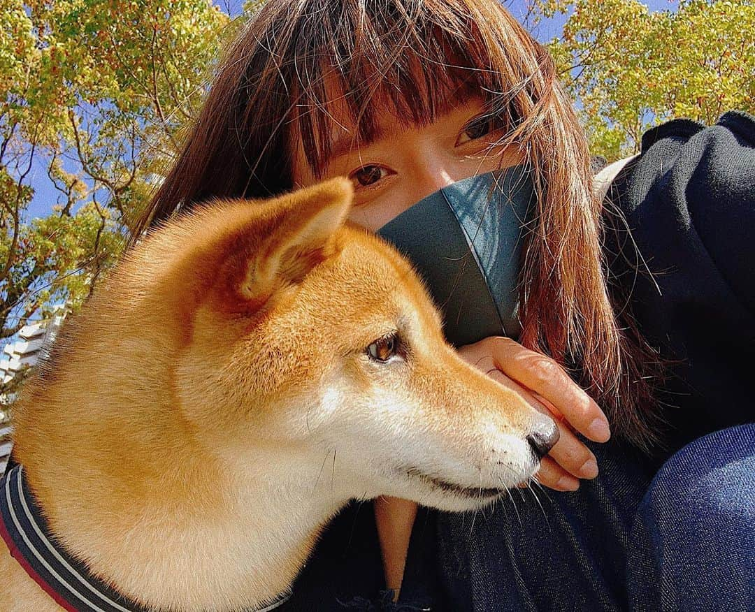 井上志帆子さんのインスタグラム写真 - (井上志帆子Instagram)「マズル #しばいぬ #柴犬と飼い主#柴犬#柴犬を崇めよ#飼い主と柴犬#柴犬ふじ#shibainu」4月28日 21時50分 - shiriko0316