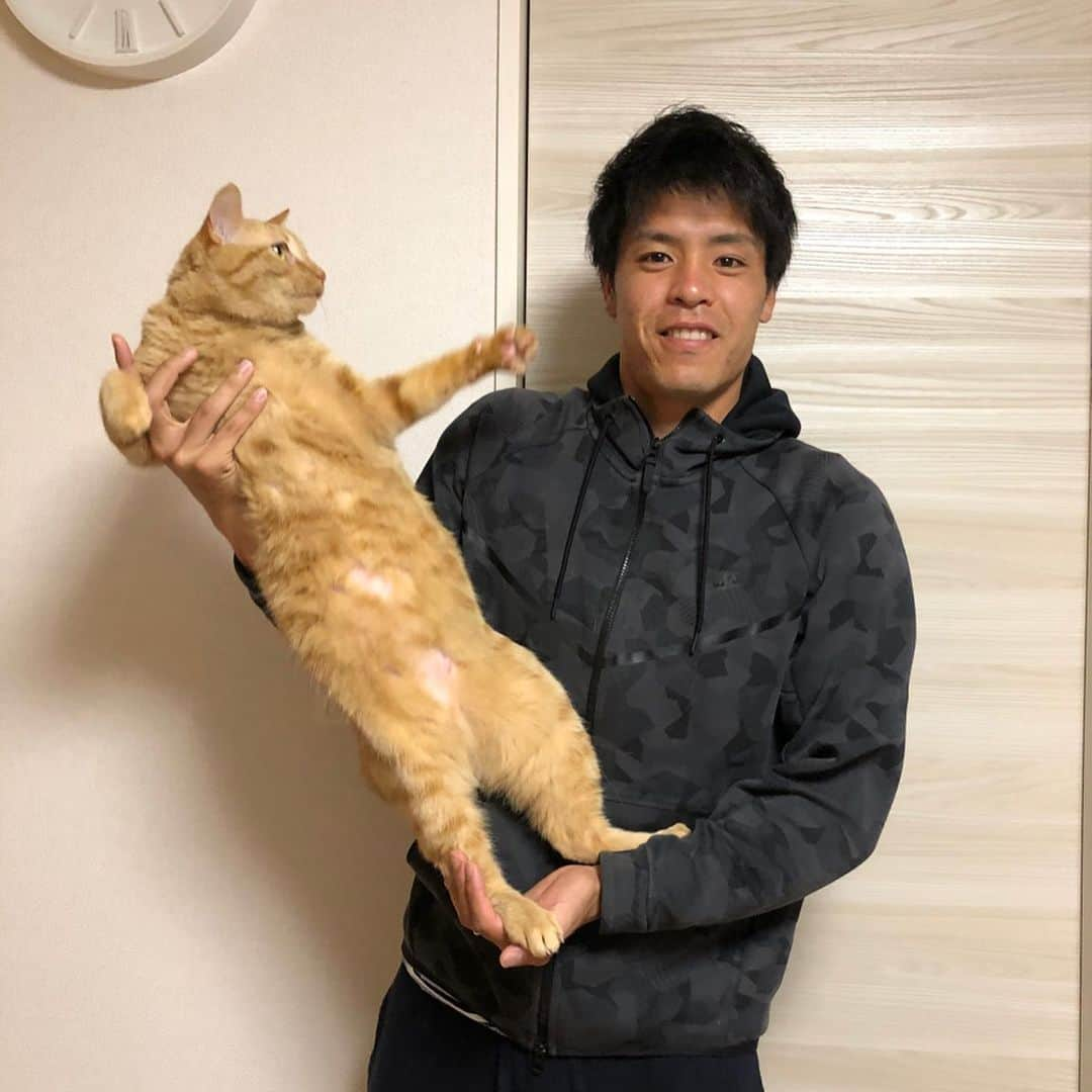 濱田水輝さんのインスタグラム写真 - (濱田水輝Instagram)「. . ちゃと4歳おめでとう㊗️🐈 . 毎年誕生日には小さかったときの写真を見返して思い出に浸ります😊  ちなみに彼はおうち時間の9割を寝て過ごしています💤  みなさんも今年の大型連休は家にいましょう🏠  #茶トラ #猫好きJリーガー #stayhome」4月28日 22時12分 - mizuki__hamada