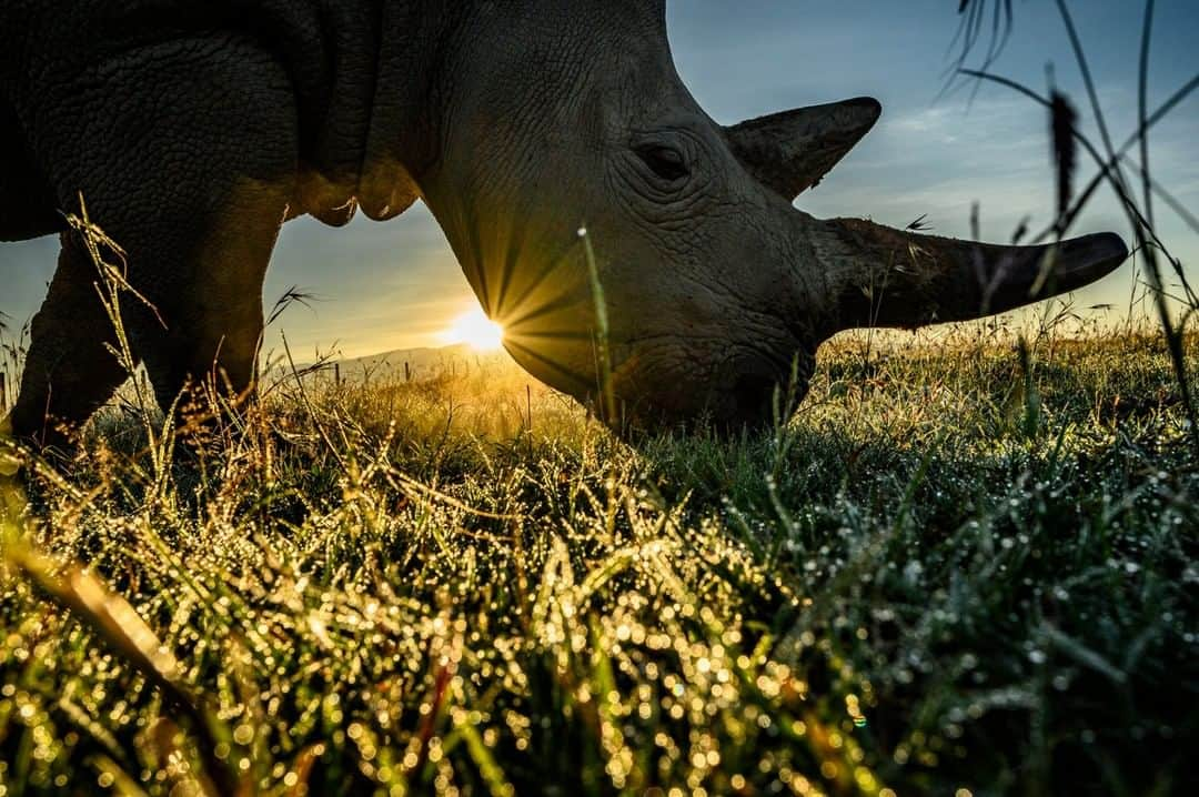 National Geographic Travelのインスタグラム