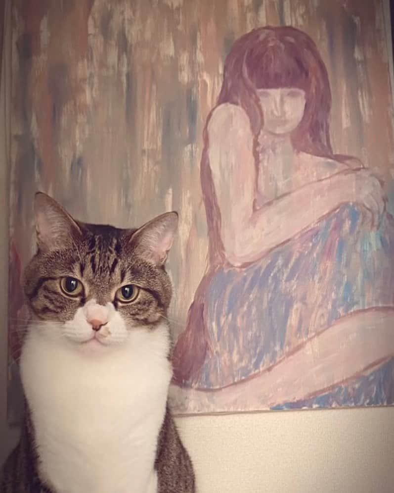 野本かりあのインスタグラム：「人間みたいな表情。 鳴き方も、猫っぽくないし。 ご飯の出し方にも拘りがあって、指示してくるし。 毎日夜中の3時半、朝の6時にキッチリと 起こしに来るし。 何処の星から来たのかね。 #描きかけで終えた油絵の前にて #lukarly #にゃんすたぐらむ #catsofinstagram」