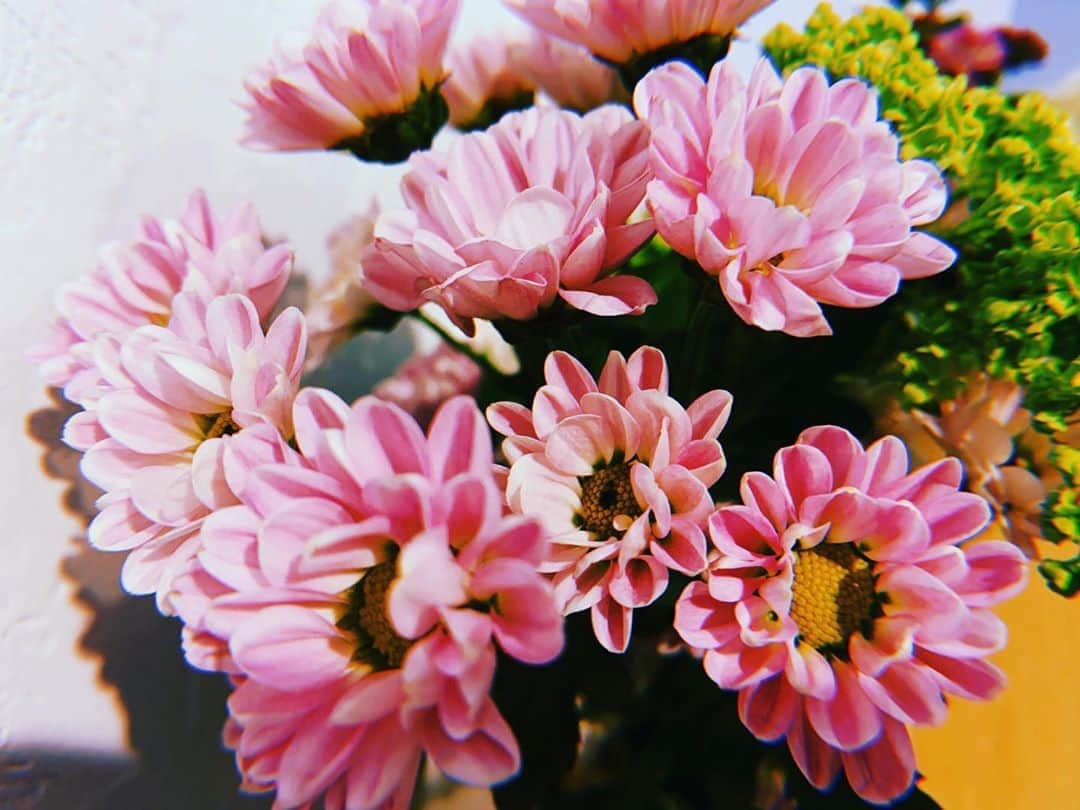 美咲かんなのインスタグラム：「． 難しいので高級なカメラは持っていないのですが、画面いっぱいのお花が好きです。 iPhoneでも個人的には楽しめています ． #花のある暮らし #花の名前何だっけ #おうちじかん」