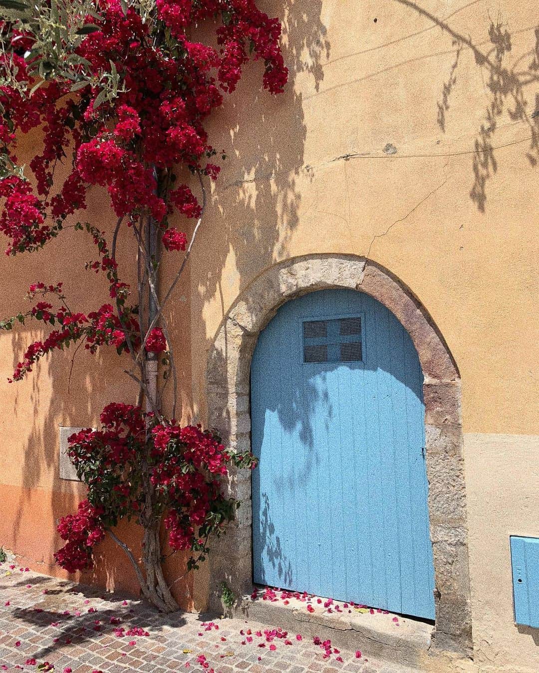 マチルダ・ルッツのインスタグラム：「If you open that door it may lead you someplace you never expected ... #takearisk #door #beauty」