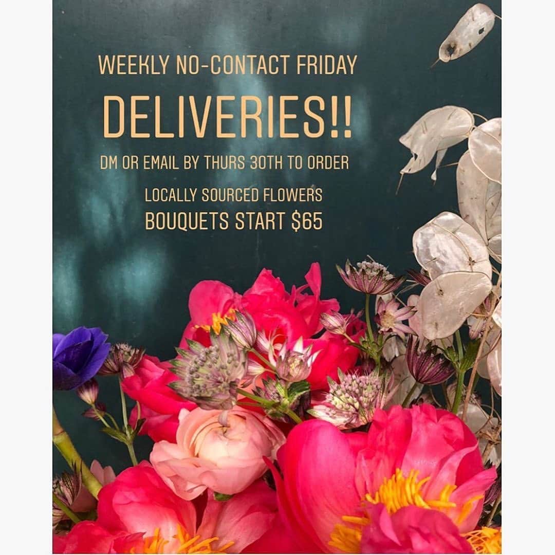 サキャスティックさんのインスタグラム写真 - (サキャスティックInstagram)「Beautiful, locally sourced foxglove, anemone, sweet pea, dogwood & heirloom roses available this week!  Order this Thursday April 30 by 2pm for delivery on Friday May 1.  Mixed bouquets $65  vase arrangements available by request.  Central LA delivery.  DM @shedesignsla or email jessica@shedesignsla.com」4月29日 3時53分 - paultbythesea