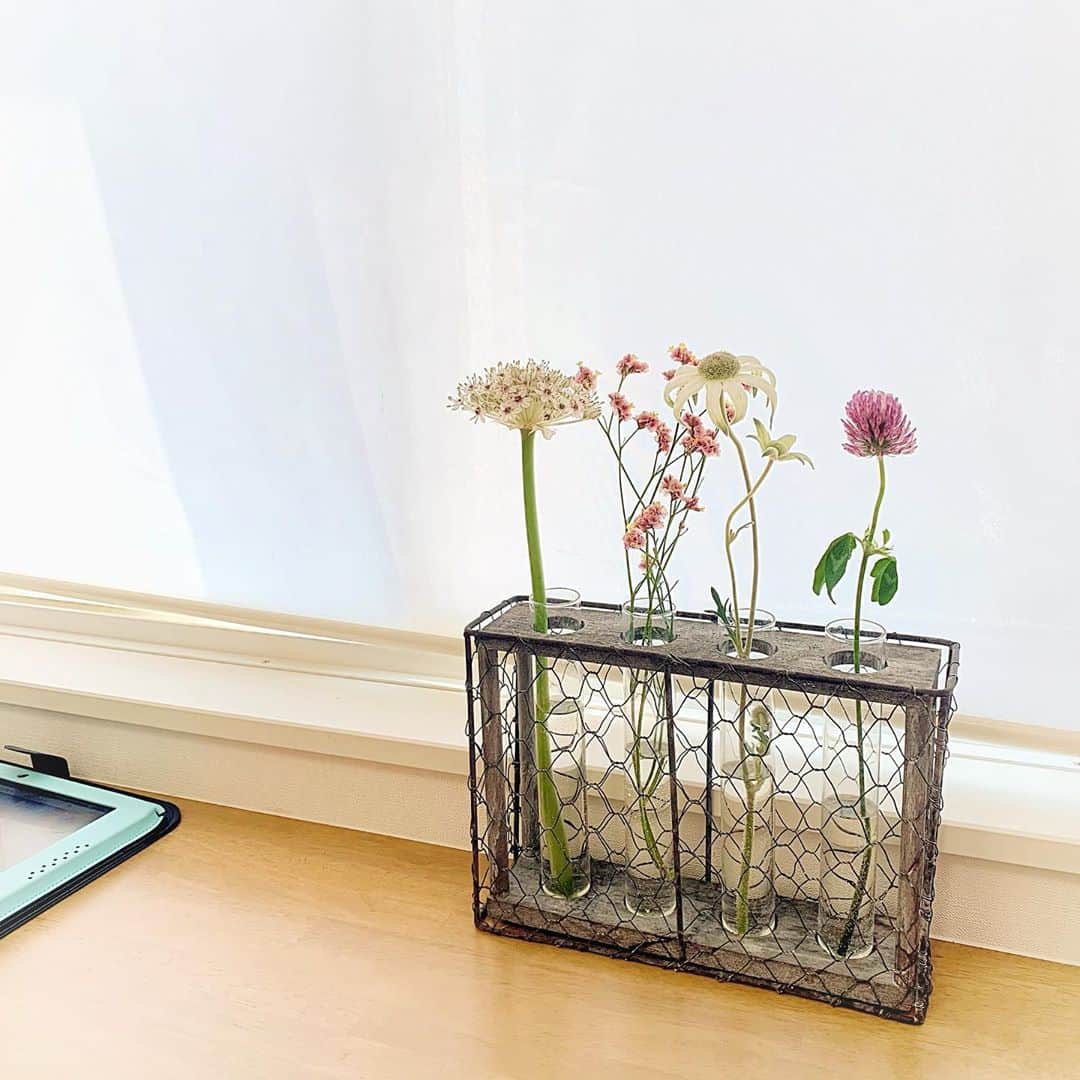 乙黒えりのインスタグラム：「久しぶりにお花を買いました🌷 自分で選ぶと時間かかりそうだったのでお任せで、短時間で済むようにお願いしました。 今色々な場所の収納見直し中。 おうち時間を利用して、いらない紙類など処分して棚の収納スペースを空けました。 窓際ワークスペースを片付けて、通信のお勉強したり工作したりできるように。 リビングのテーブルの上も常に子供のお勉強&道具などがあるのでIKEAの収納ケースを置くことに。  子供がずっと家にいると物だらけでぐっちゃぐちゃになるけど、(特に次女w)少しずつ子供たちにも収納場所に戻すことを意識してもらいたい〜。 引き出しの中の整理の仕方とか、整理収納のコツについてもじっくり教えるいい機会になったかな。 子供部屋の大掃除は3時間もかかった😅 娘の趣味を尊重して虫かご収納も作りました。家にあったいらない棚を使ってとりあえずね。 #今できることを楽しむ #おうち時間　#整理収納 #収納見直し #花のある暮らし  #irotoiro#おうち時間#おうち収納」
