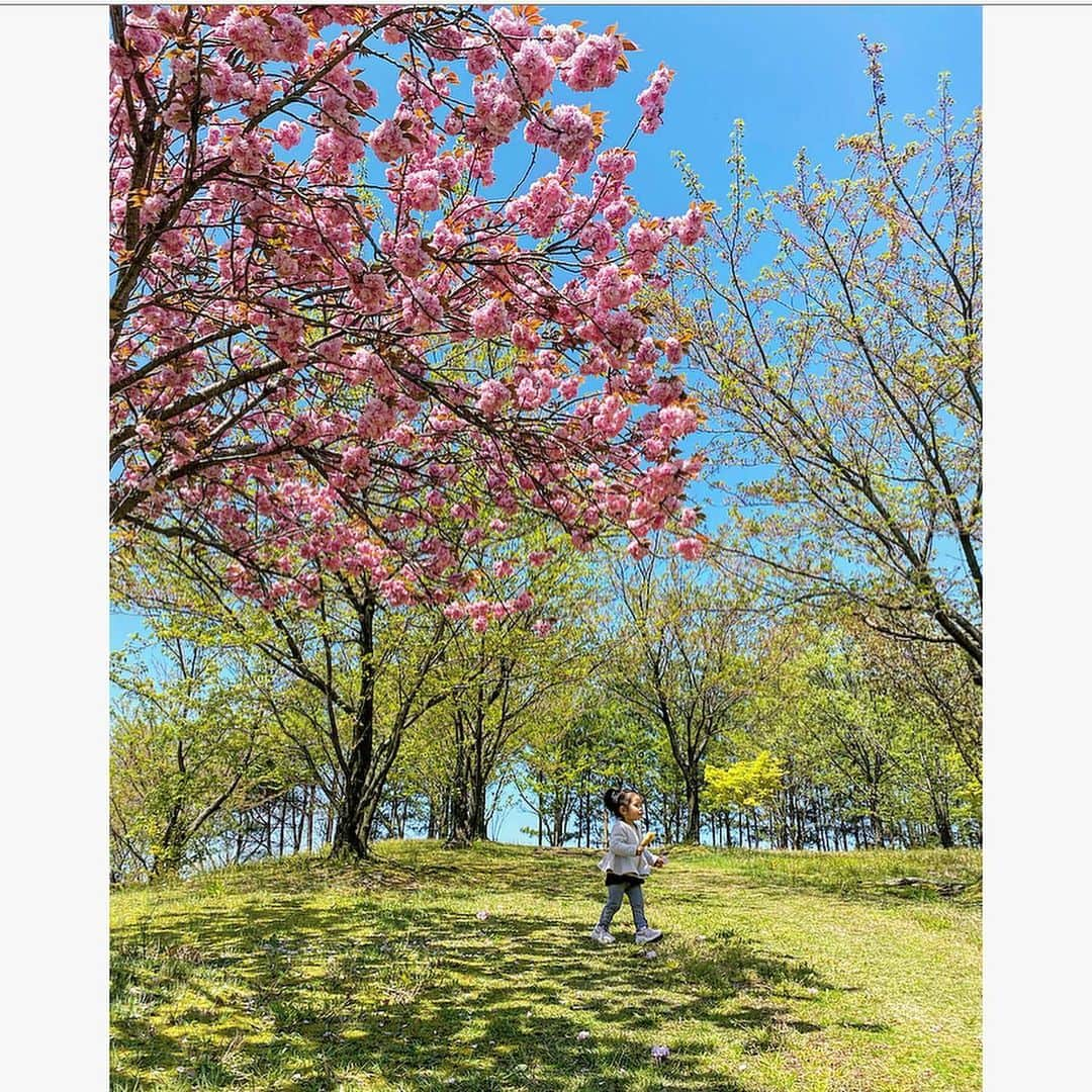 中川真依さんのインスタグラム写真 - (中川真依Instagram)「. 毎日何しようかって悩むこともなく山通い😂 虫を追いかけたりお花を見つけたりと自然は毎日違うので娘はとても楽しそうです☺️☀️ . TVやネットではコロナの話しばかりで、、、、生活も制限されてストレスもたまるけど命のために今は我慢。 少しでも楽しめる事を見つけて🌸体を動かして🦎この状況を乗り越えましょう‼️」4月29日 6時15分 - maimai.47