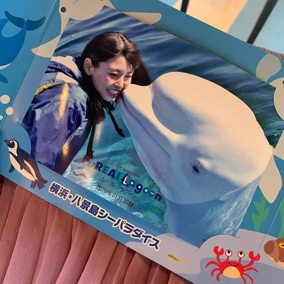 竹本茉莉さんのインスタグラム写真 - (竹本茉莉Instagram)「これは25歳最後の日の とっても素敵な思い出🐬 . . . . . #八景島シーパラダイス #八景島 #シーパラ #水族館 #水族館デート #旅スタグラム #aquarium #イルカ #白イルカ #🐬#dolphin #돌고래 #海豚 #japantrip #japanesegirl #cute #happy」4月29日 7時10分 - matsuri_morikawa