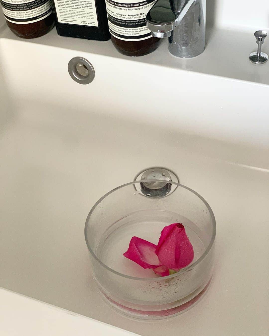 のインスタグラム：「・ ・ あさ流し台で 水浴びしたバラの美しきこと ・ ・ #life #朝時間 #rose #flowers  #stayhome #staysafe」