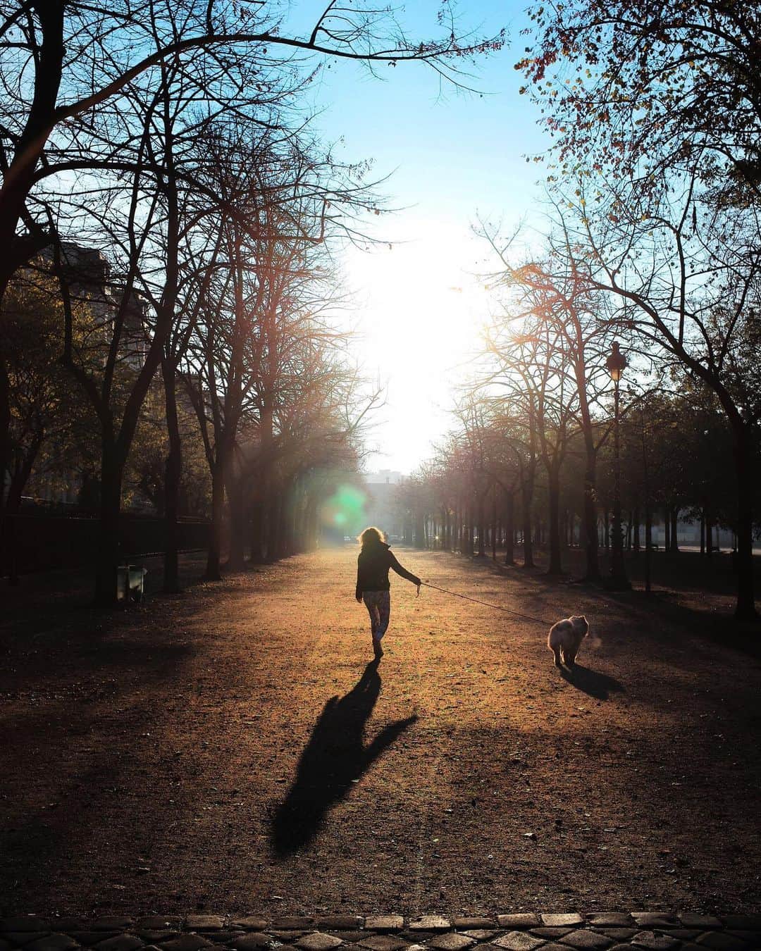 のインスタグラム：「「パリの朝」  #写真集シリーズ #写真 #作品 #パリ #フランス #photo #photography #paris #france #leica #ライカ #urbanstreetphotogallery #shumpeiohsugi #大杉隼平  #光が差す方へ」