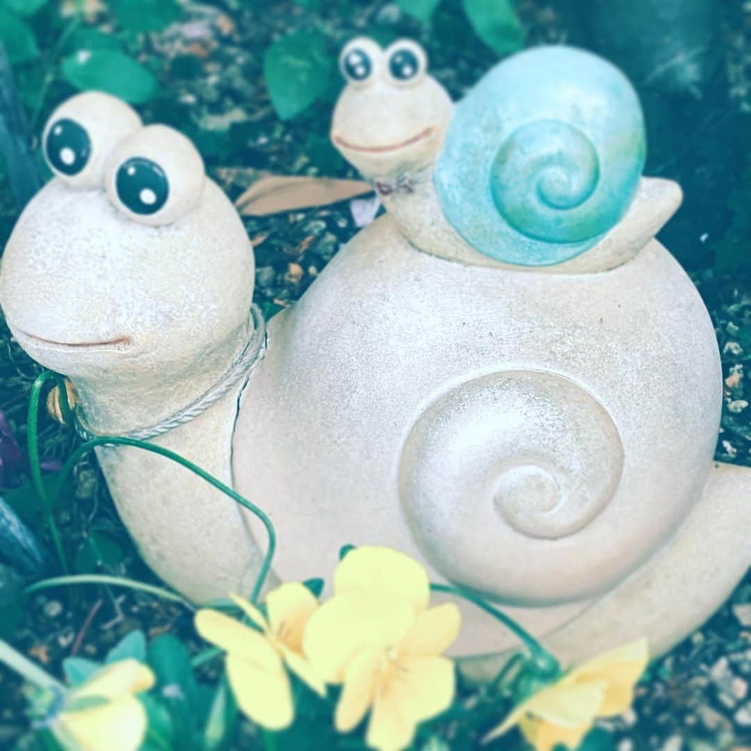 中野敬久さんのインスタグラム写真 - (中野敬久Instagram)「#flower #yellow #snails #always #stayhome #family #hope」4月29日 8時27分 - hirohisanakano