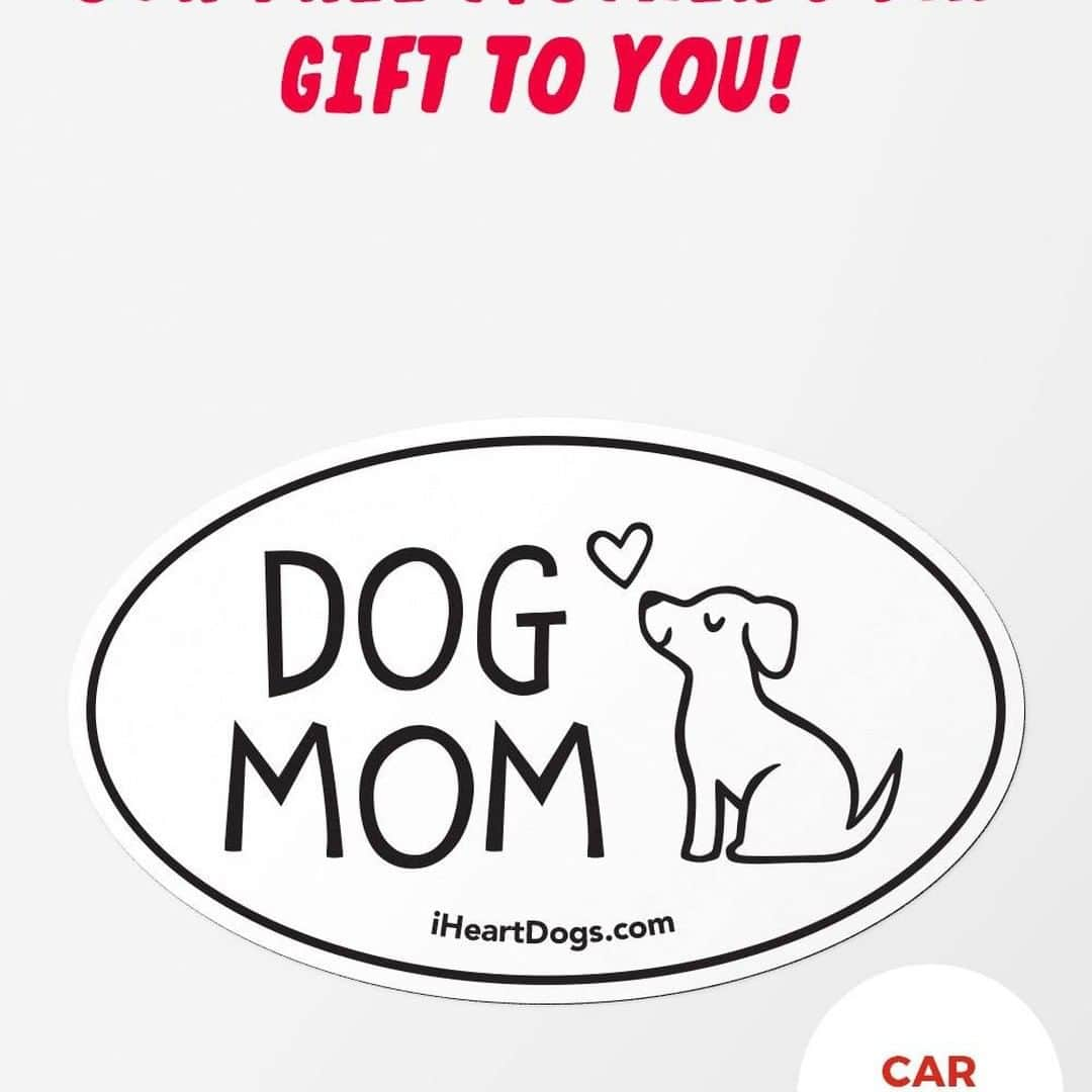 Animalsのインスタグラム：「Calling all dog moms! We'd love to send you out these free magnet! (just pay a small S&H which includes donation to feed a shelter dog!) Get yours here, link in bio 👉@iheartdogscom」