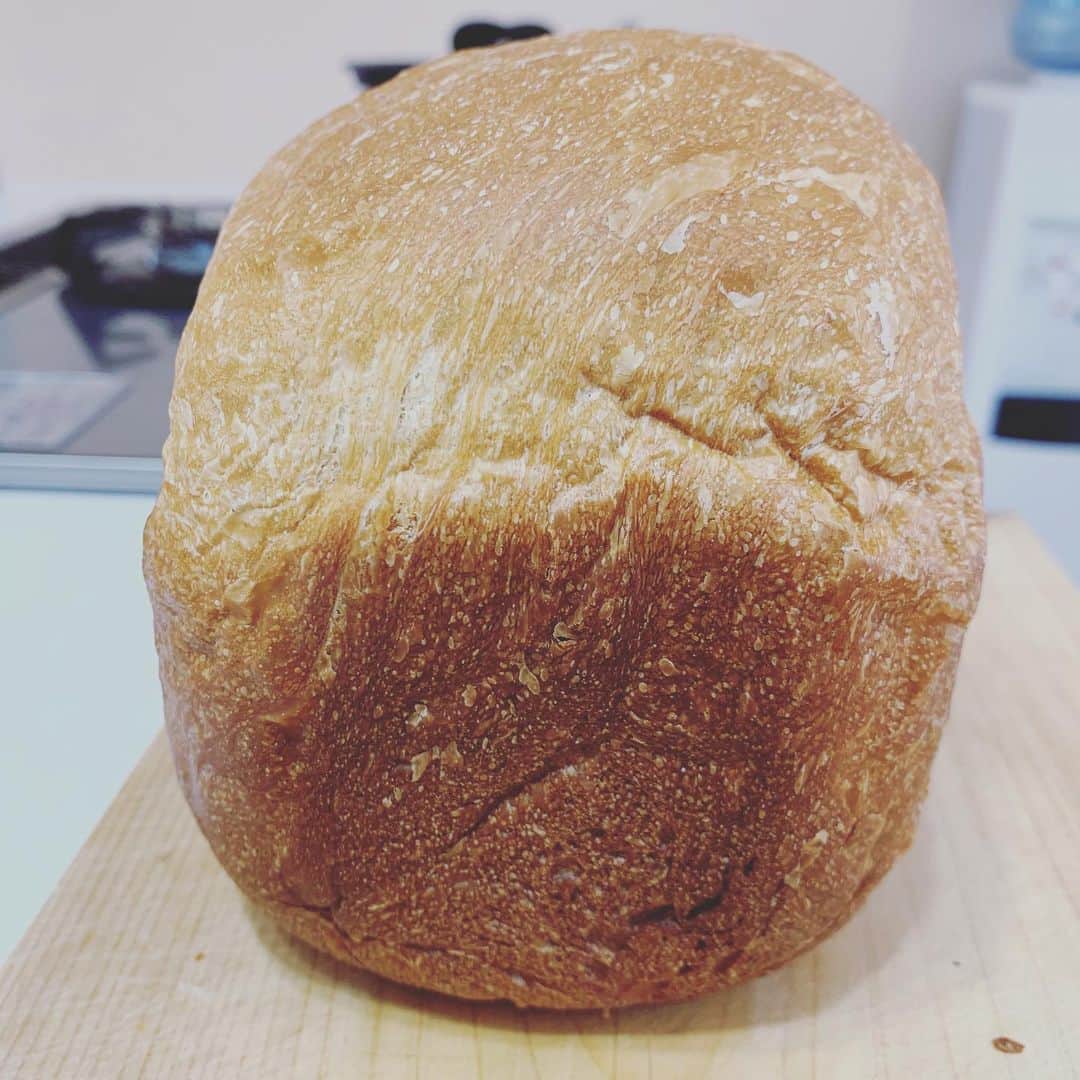 相川七瀬さんのインスタグラム写真 - (相川七瀬Instagram)「朝起きたらパンが焼けていた。パンの香りって本当にいい匂い😆  #ホームベーカーリー」4月29日 8時33分 - nanasecat