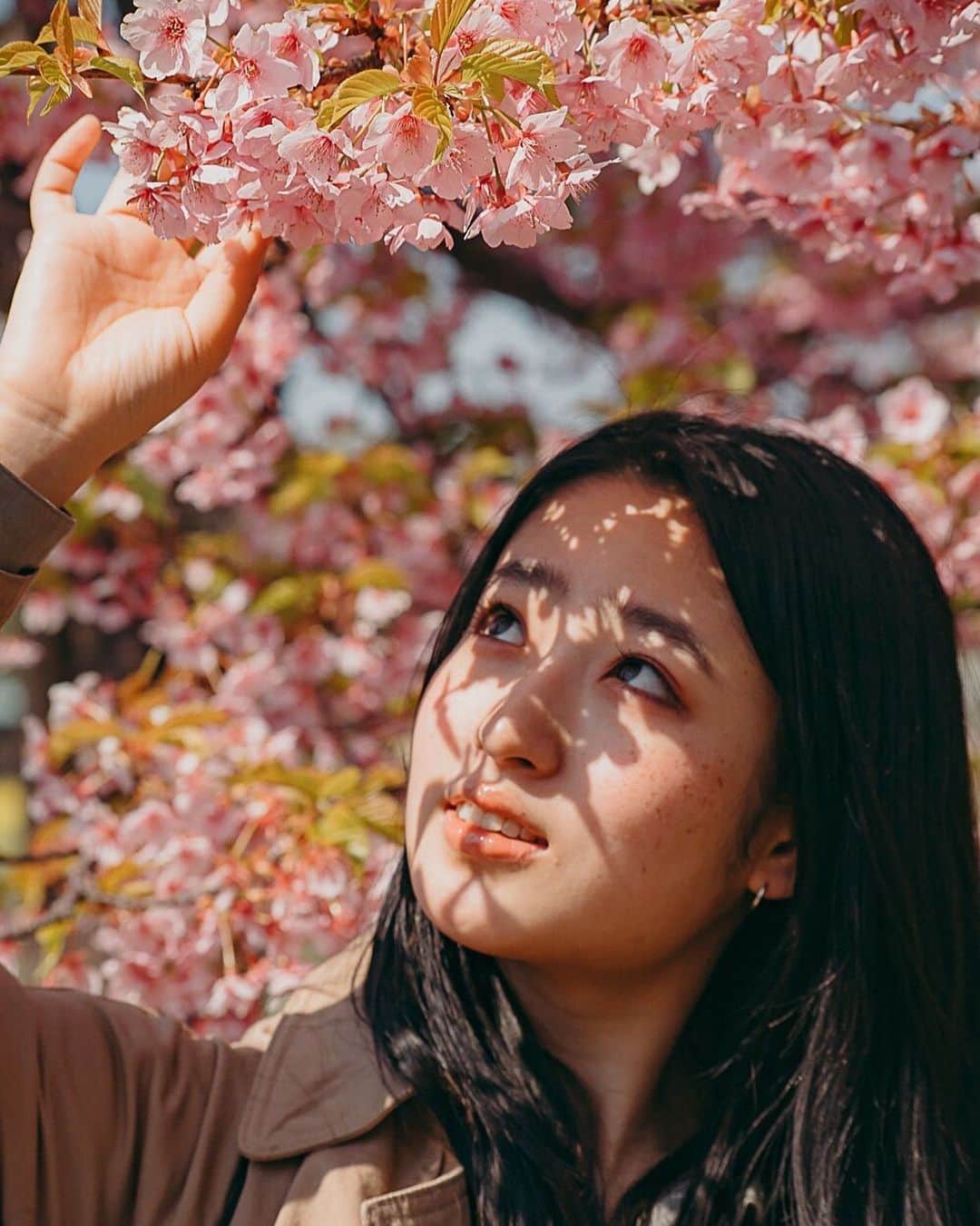 AO のインスタグラム：「🌸 去年の桜 過去の写真を振り返る #桜#自粛#photography」