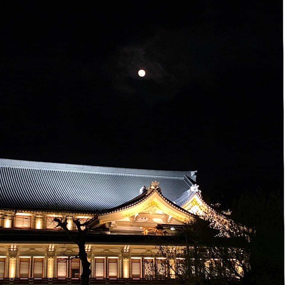 百合華さんのインスタグラム写真 - (百合華Instagram)「I'm feeling amazing of nature and spring existence in Kyoto 🍀💕 #japan #日本 #kyoto #京都 #spring #春 #小春日和 #springflowers  #春の花 #colorful  #カラフル #生命 #存在 #感じる #お散歩 #お散歩タイム」4月29日 11時24分 - yurika.lovelily