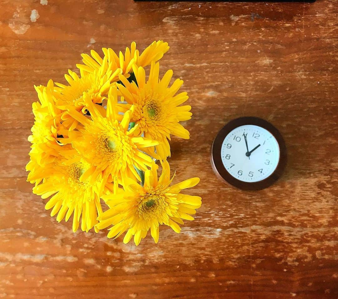 hotelgraphynezuさんのインスタグラム写真 - (hotelgraphynezuInstagram)「Thank you to this guest offering us flowers and letting a very nice and peaceful floral atmosphere to his room ! ☺️ #hotel #hotelgraphy #nezu #flowers #spring #goodmood #love #sense #peace #timestopper #hotelroom #tokyo #japan #japanese #yellow #nicetouch #日本のお客様 #日本 #日本人 #おしゃれ #お花 #金色 #デリケート #東京 #根津 #ホテル #ホテルグラフィーネズ #お部屋 #春 #幸せ」4月29日 11時32分 - hotelgraphy_nezu