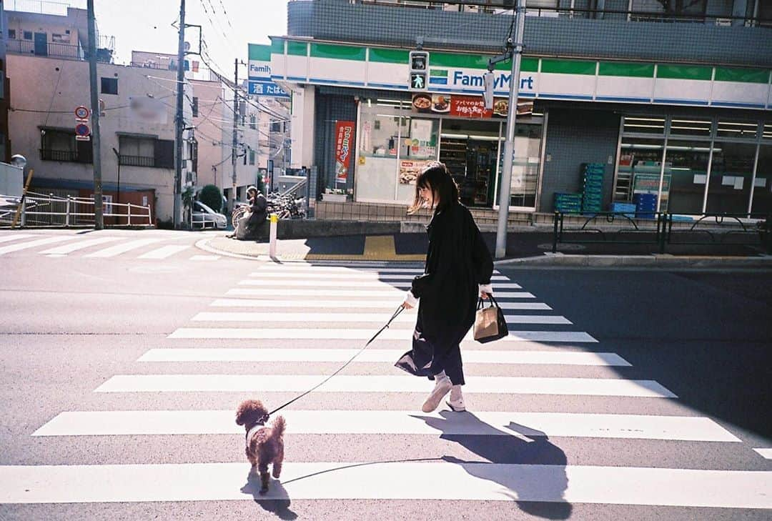 半田麗さんのインスタグラム写真 - (半田麗Instagram)「当たり前が、当たり前じゃなかったことに気付かされる日々☺️ #preciousdays #彼カメラ #フィルムカメラ #フィルム写真 #今日のもねさん」4月29日 12時07分 - rei__handa