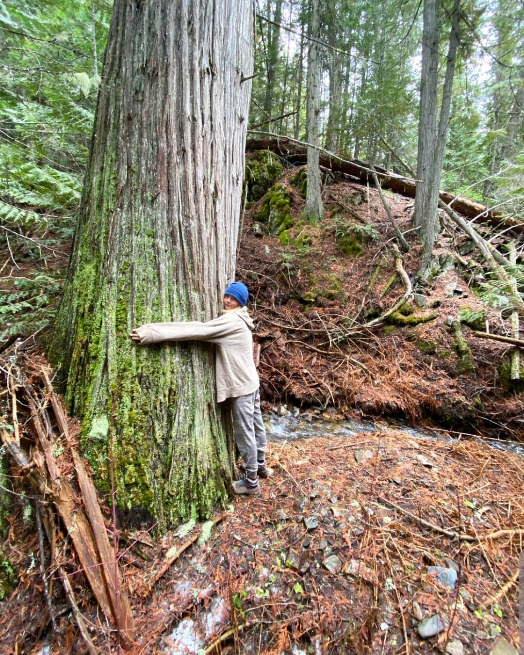 カーラ・デルヴィーニュのインスタグラム：「Instead of using so much paper, let's start hugging the trees 🌲🌳🌴 Join me @myecoresolution @oceanic.global in taking the #5RCHALLENGE - to refuse, reduce, reuse, rot, & recycle - in our daily lives. Be part of the solution. Tag and share with me your own #5RCHALLENGE」