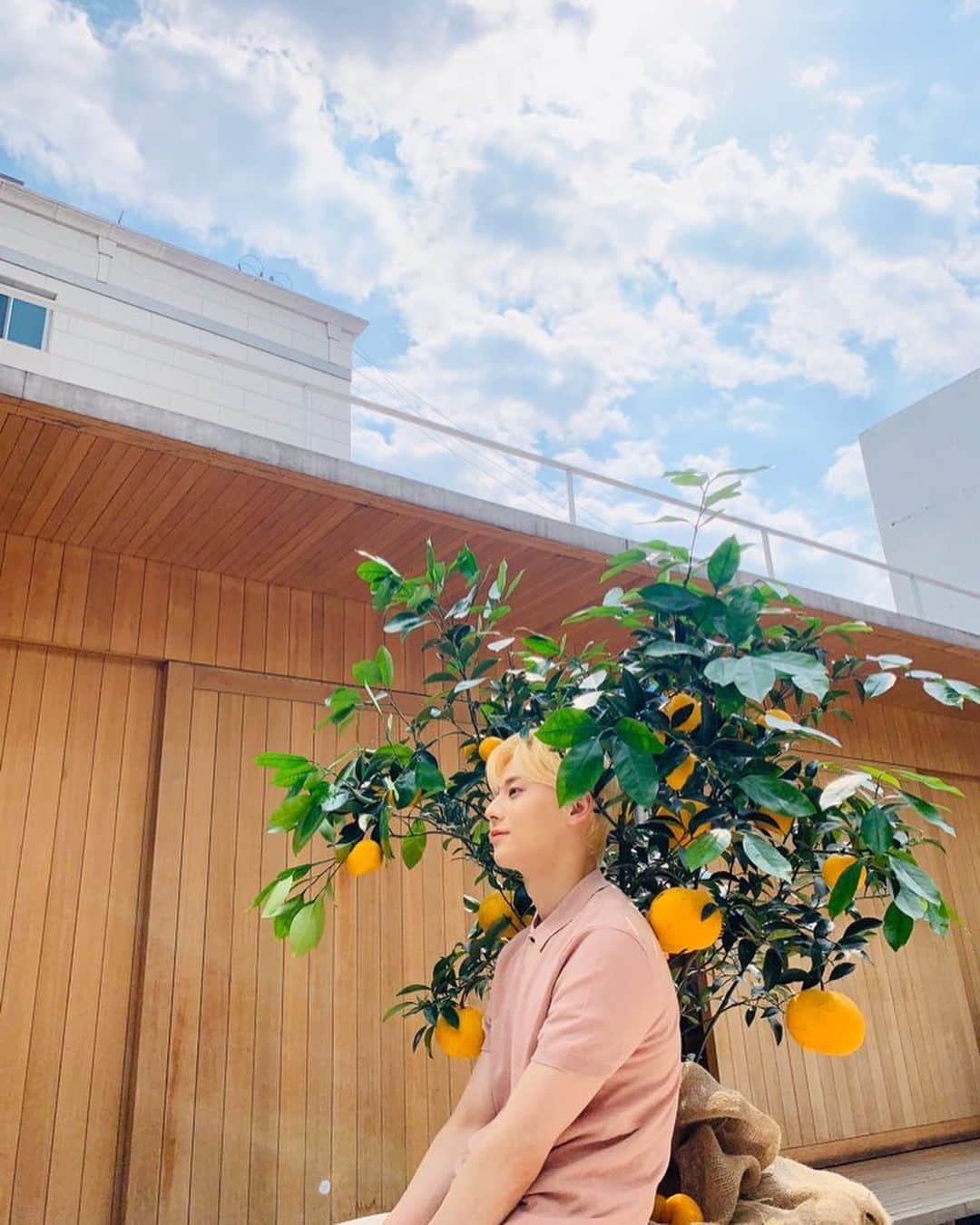 ミンヒョン さんのインスタグラム写真 - (ミンヒョン Instagram)「나도 비하인드🙈」4月29日 13時08分 - optimushwang