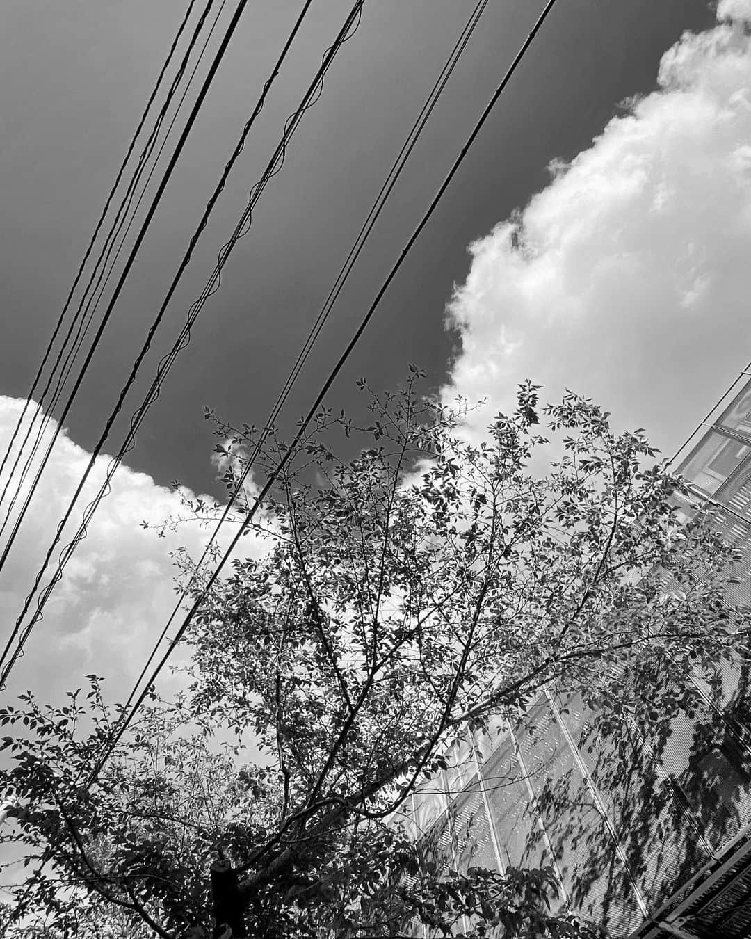 のインスタグラム：「#streetphotography #storyofthestreet #streetscenesmag #streetoftokyo #streetcinematography #streetoftones #kaishishido #iphone11pro #nostalgic #sky #monochrome #photography」