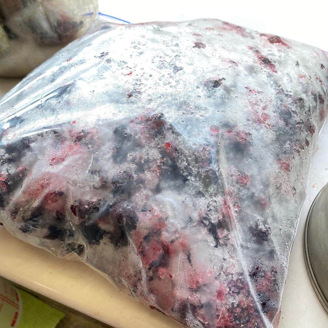 野間美由紀さんのインスタグラム写真 - (野間美由紀Instagram)「冷凍庫を圧迫していたブルーベリー1.5kgをジャムにしました。」4月29日 14時26分 - rose_m