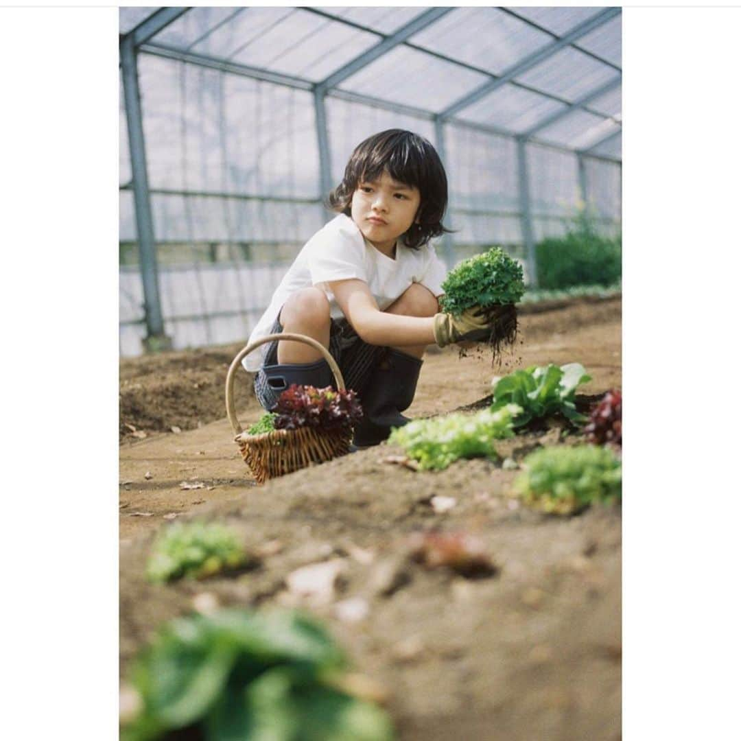 入山法子さんのインスタグラム写真 - (入山法子Instagram)「THE SHOP TK 更新です。 希望を持つことは今を頑張れる力になると思っています。 旅支度ごっこ、と、今朝ひとつ前の投稿に書いたばかりだったから、気持ちが繋がってるようで嬉しかった！ またみんなと笑顔で会いたいです☺️ . プロフィールにも貼りましたので、ぜひ見てくださいね🙋‍♀️💕 . #repost @naruochan ・・・ ______ ______ ______ ______ ______ ______﻿ ﻿ お家で明るい旅の計画をしよう。🏠﻿ ______ ______ ______ ______ ______ ______﻿ ______ ______﻿  THE SHOP TK DAYS PLUS 🏠﻿ 毎月、家族での休日の過ごし方提案と共に﻿ THE SHOP TKさんの﻿ お洋服を紹介しています🌟﻿ __________  今回はテーマが［旅行］で、 時期が時期、テーマがテーマだったので、﻿ ブランドの三村さんと話し合い、﻿ ﻿ おうちでの表現を模索したり﻿ 色々と話しましたが、﻿ こんな時期だからこそ、﻿ ﻿ ネガティブな感覚を取っ払うような、﻿ 希望のある表現ができたらということから﻿ 本来今まさにこの時期にあるべき姿だった﻿ ありのままの家族の、明るい﻿ 楽しく元気な時間を撮りました。﻿ （ちなみに緊急事態宣言よりも前の撮影です！） ﻿ _ この曇り空が晴れたら﻿ 思いっきり、外で、遠くへ、穏やかに﻿ 家族で旅行ができるように、思いを馳せて。  webでストーリー是非ご覧ください😄  ______ ______ ______ ______ ______ ______﻿ ﻿ ▶️有効期限が無期限の旅行券が当たる﻿ キャンペーンを併設企画があります！﻿ （無期限がポイント😭✨）✈️﻿ ______ ______ ______ ______ ______ ______﻿ ﻿ そのためにも、﻿ 今は遊びに出ずお家ですごしましょ。﻿ （私も4/8からずっと家🙂 ﻿ ー﻿ ●PHOTO﻿ TOSHIAKI KITAOKA﻿ _﻿ ●STYLING﻿ TOMOYO MARUO（LADIES & KIDS）﻿ YASUAKI OKUMURA（MENS）﻿ _﻿ ●HAIR & MAKE﻿ CHIAKI SHIOYAMA﻿ _﻿ ●MODEL﻿ NORIKO IRIYAMA（INCENT）﻿ KOTA NAKAMURA（ BARK in STYLe）﻿ TOTO（AWESOME）﻿ KURUMI（AWESOME）﻿ _﻿ ●PRODUCTION﻿ GA XROSSING﻿ _﻿ ●ART DIRECTION & DESIGN﻿ HITOKI NARUO﻿ _﻿ ●リゾナーレ那須様﻿ MORISHITA sama﻿ MAEDA sama﻿ NAOTO,KIKUNO﻿ KIDS mama﻿ _﻿ THE SHOP TK﻿ KENTA MIMURA, ﻿ AYAKO SHIRAKAWA, ﻿ JUNKO KOBAYASHI」4月29日 14時56分 - iriyamanoriko_official