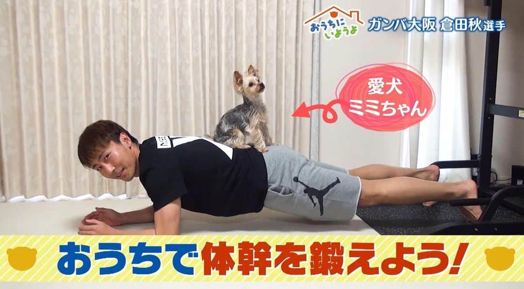 倉田秋のインスタグラム：「ミミと共演しました！ MBSで不定期に流れます📺 是非見てください！ #ミミ #MBS#おうちにいようよ #倉田秋 #体幹」