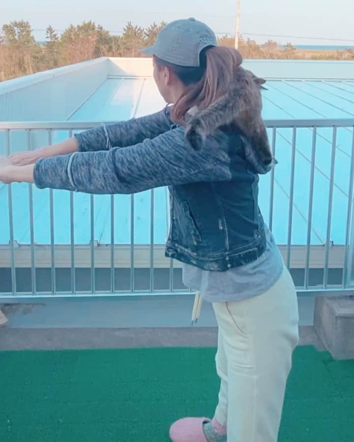 のインスタグラム：「ステイホーム🏠 海は、眺めるだけ👀💕 #かれこれサーフィン自粛1か月 #にこちゃんとスクワット #にこちゃんのオケツ丸見え」