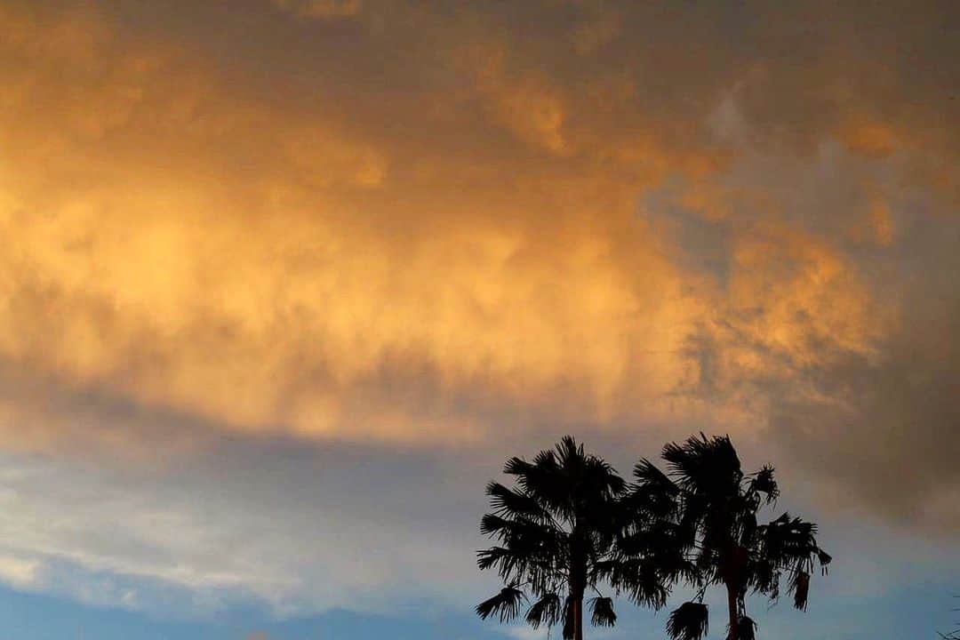 マイケル・クリムさんのインスタグラム写真 - (マイケル・クリムInstagram)「Look up... #palmtrees #bali #sunset @michelleowen」4月29日 17時36分 - michaelklim1