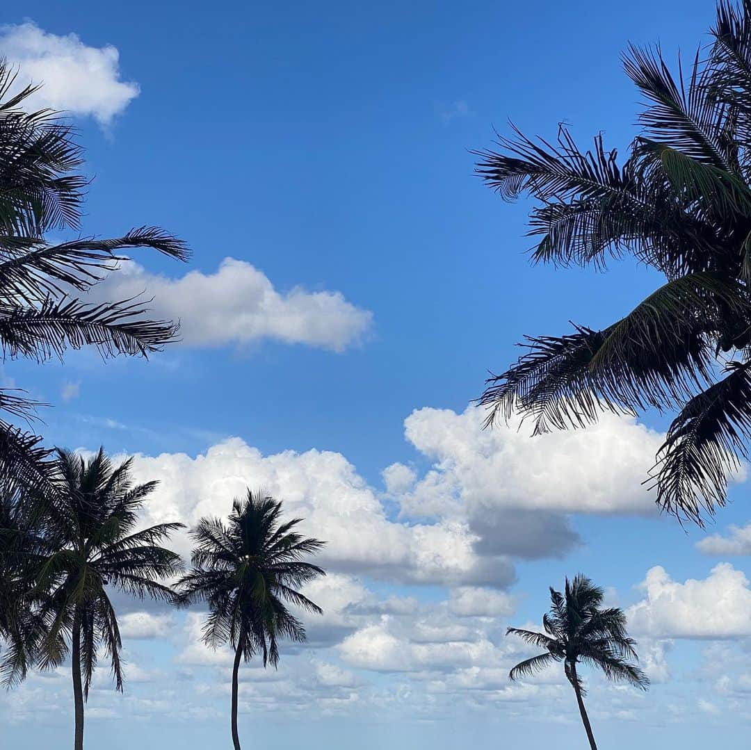 ニコラ・ペルツさんのインスタグラム写真 - (ニコラ・ペルツInstagram)「weathering the storm 🌦」4月30日 4時00分 - nicolaannepeltzbeckham