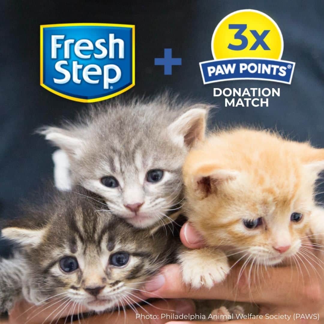 Fresh Stepのインスタグラム：「✨We’re matching your Paw Points donations by 3X up to 2 million points from now until 6/30 to help shelters during COVID-19. 💗 Donate points now via link in bio! *Open to legal residents of the 50 U.S. (including D.C.), 18 years old or older. Donate points from 4/20/20 – 6/30/20. For Paw Points Terms, visit freshstep.com」