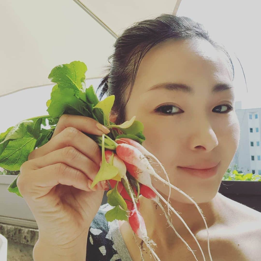 平井絵巳さんのインスタグラム写真 - (平井絵巳Instagram)「Home made Radish！ During the stayhome, seedlings is growing 🌱 already could be eat... Thank you for eat  Take care your health❣️ #おうち時間 #自家栽培のラディッシュ #外出禁止期間中の苗植え #スクスク育ち🌱🌱 #食べれるまでに、、 #いただける幸せ #早くの終息を願います❣️」4月29日 20時07分 - emiiiii_hra