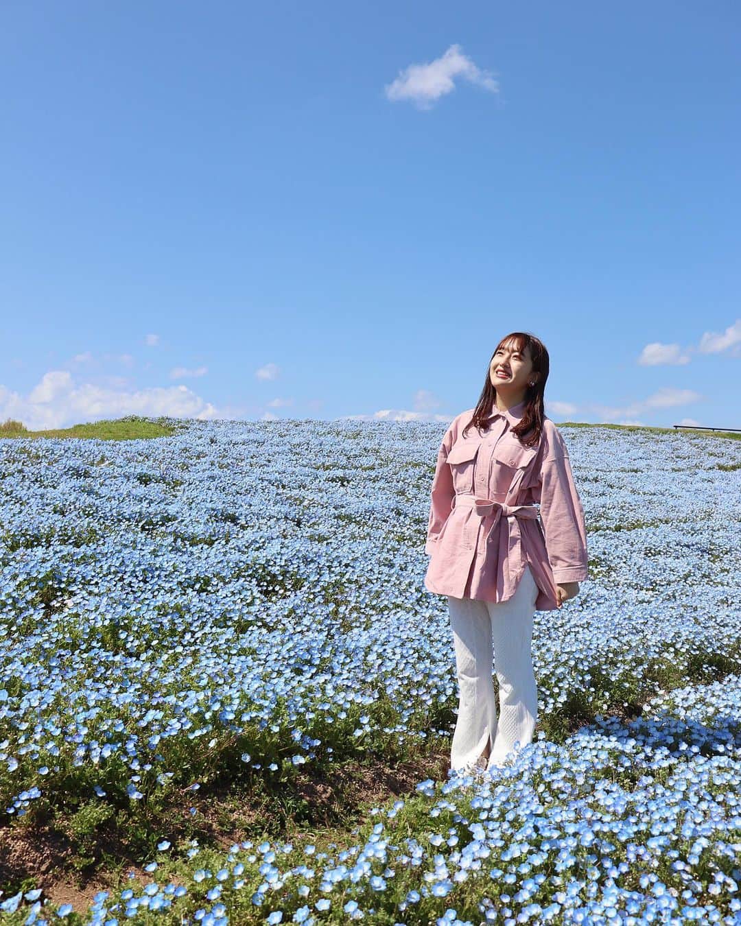 田島芽瑠さんのインスタグラム写真 - (田島芽瑠Instagram)「春のお花　「ネモフィラ」﻿ ﻿ 花言葉は「可憐」その言葉通り可愛らしいお花です。﻿ ﻿ 桜も好きだけどネモフィラも好き☺️💕 ﻿ ﻿ ﻿ 写真は福岡の海の中道海浜公園です！﻿ 毎年ネモフィラがとっても綺麗に咲くんです❤︎﻿ 今年は残念ながら休園になってしまいましたが…😭 悲しい😭﻿ ﻿ 来年は満開になったネモフィラを見に行けますように！﻿ ﻿ #過去pic ﻿ #ネモフィラ #ネモフィラの丘 #ネモフィラ畑 #nemophila #nemophilablue﻿ #青春 #青空 #bluesky #青い花 #春の花 #春 #春コーデ #spring #springflowers #blueflowers #海の中道海浜公園 #海の中道 #海の中道海浜公園のネモフィラ #海の中道ネモフィラの丘 #福岡 #福岡観光 #福岡旅行 #fukuoka #fukuoka_camera #fukuokapics #fukuokatrip #canon_photos #canon #kissカメラ」4月29日 20時26分 - meru_chan_official