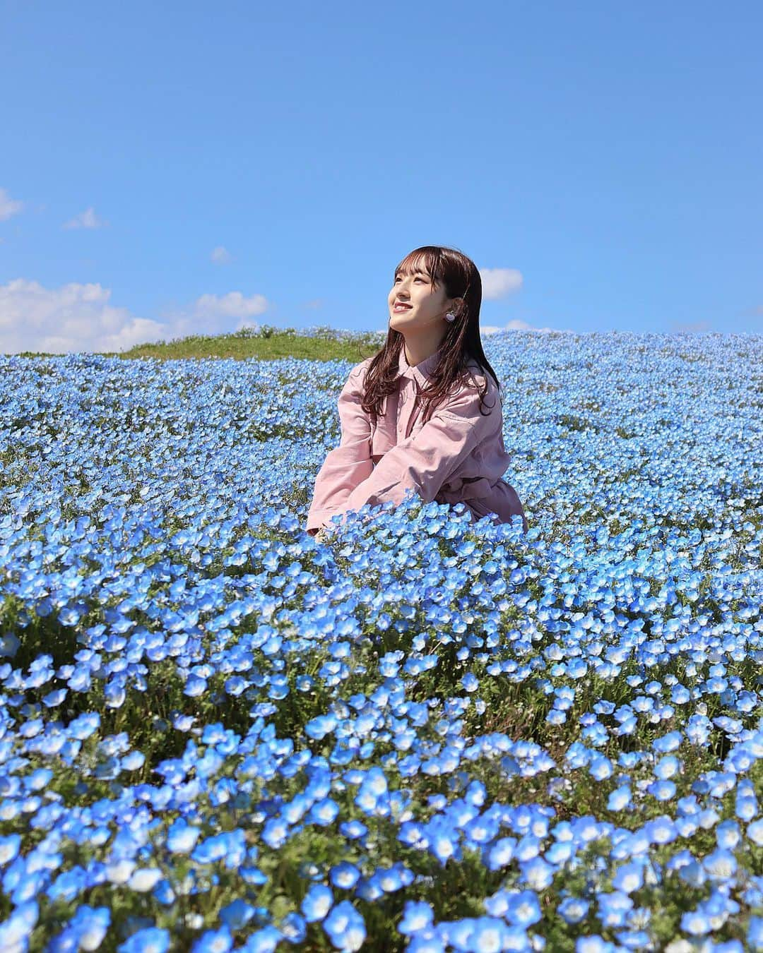 田島芽瑠さんのインスタグラム写真 - (田島芽瑠Instagram)「春のお花　「ネモフィラ」﻿ ﻿ 花言葉は「可憐」その言葉通り可愛らしいお花です。﻿ ﻿ 桜も好きだけどネモフィラも好き☺️💕 ﻿ ﻿ ﻿ 写真は福岡の海の中道海浜公園です！﻿ 毎年ネモフィラがとっても綺麗に咲くんです❤︎﻿ 今年は残念ながら休園になってしまいましたが…😭 悲しい😭﻿ ﻿ 来年は満開になったネモフィラを見に行けますように！﻿ ﻿ #過去pic ﻿ #ネモフィラ #ネモフィラの丘 #ネモフィラ畑 #nemophila #nemophilablue﻿ #青春 #青空 #bluesky #青い花 #春の花 #春 #春コーデ #spring #springflowers #blueflowers #海の中道海浜公園 #海の中道 #海の中道海浜公園のネモフィラ #海の中道ネモフィラの丘 #福岡 #福岡観光 #福岡旅行 #fukuoka #fukuoka_camera #fukuokapics #fukuokatrip #canon_photos #canon #kissカメラ」4月29日 20時26分 - meru_chan_official