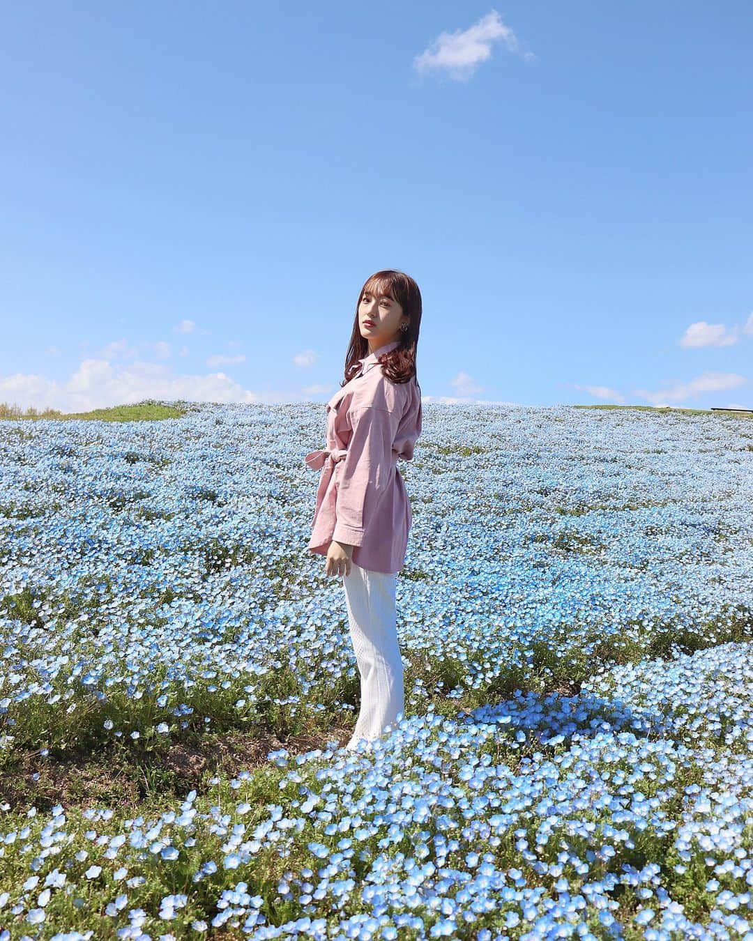 田島芽瑠さんのインスタグラム写真 - (田島芽瑠Instagram)「春のお花　「ネモフィラ」﻿ ﻿ 花言葉は「可憐」その言葉通り可愛らしいお花です。﻿ ﻿ 桜も好きだけどネモフィラも好き☺️💕 ﻿ ﻿ ﻿ 写真は福岡の海の中道海浜公園です！﻿ 毎年ネモフィラがとっても綺麗に咲くんです❤︎﻿ 今年は残念ながら休園になってしまいましたが…😭 悲しい😭﻿ ﻿ 来年は満開になったネモフィラを見に行けますように！﻿ ﻿ #過去pic ﻿ #ネモフィラ #ネモフィラの丘 #ネモフィラ畑 #nemophila #nemophilablue﻿ #青春 #青空 #bluesky #青い花 #春の花 #春 #春コーデ #spring #springflowers #blueflowers #海の中道海浜公園 #海の中道 #海の中道海浜公園のネモフィラ #海の中道ネモフィラの丘 #福岡 #福岡観光 #福岡旅行 #fukuoka #fukuoka_camera #fukuokapics #fukuokatrip #canon_photos #canon #kissカメラ」4月29日 20時26分 - meru_chan_official