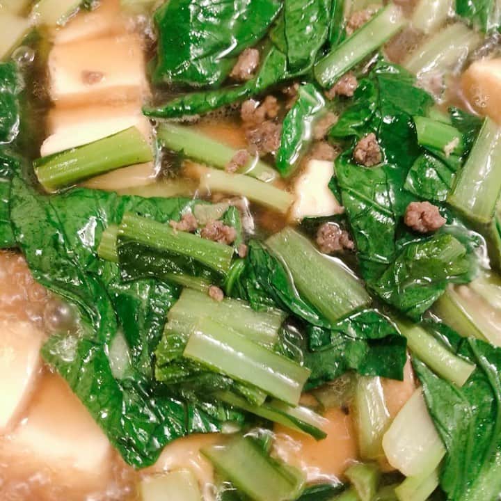 のインスタグラム：「#常備菜作り  #おうちごはん  ひとつめは、 #小松菜と厚揚げの煮浸し  ふたつめは、 #チンゲン菜のふわふわたまご  見た目に似てるし、 両方ともきのうの肉味噌の残りを入れたんだけど、 味は違うー。  煮浸しは、柚子胡椒入り。 チンゲン菜のは、ごま油の風味強め。 ふたつとも冷めても美味しいやーつ。  小松菜とチンゲン菜、安かった。  #cooking #stayhome」